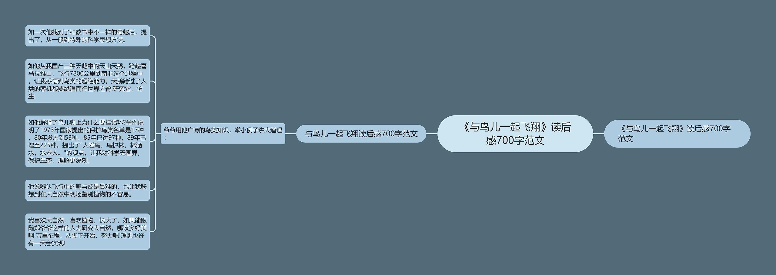 《与鸟儿一起飞翔》读后感700字范文 《与鸟儿一起飞翔》读后感700字范文