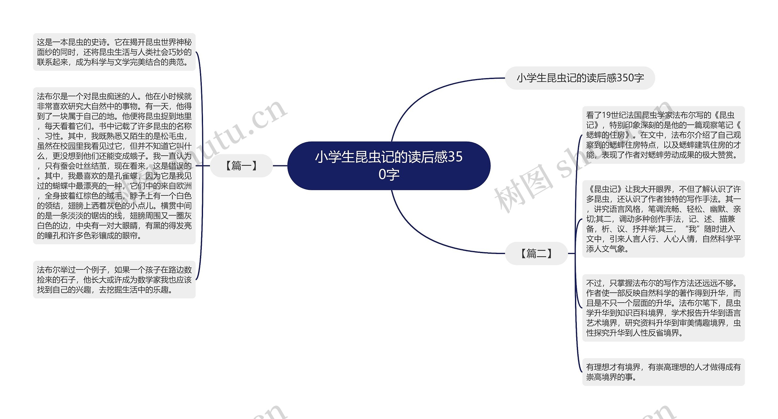 小学生昆虫记的读后感350字思维导图