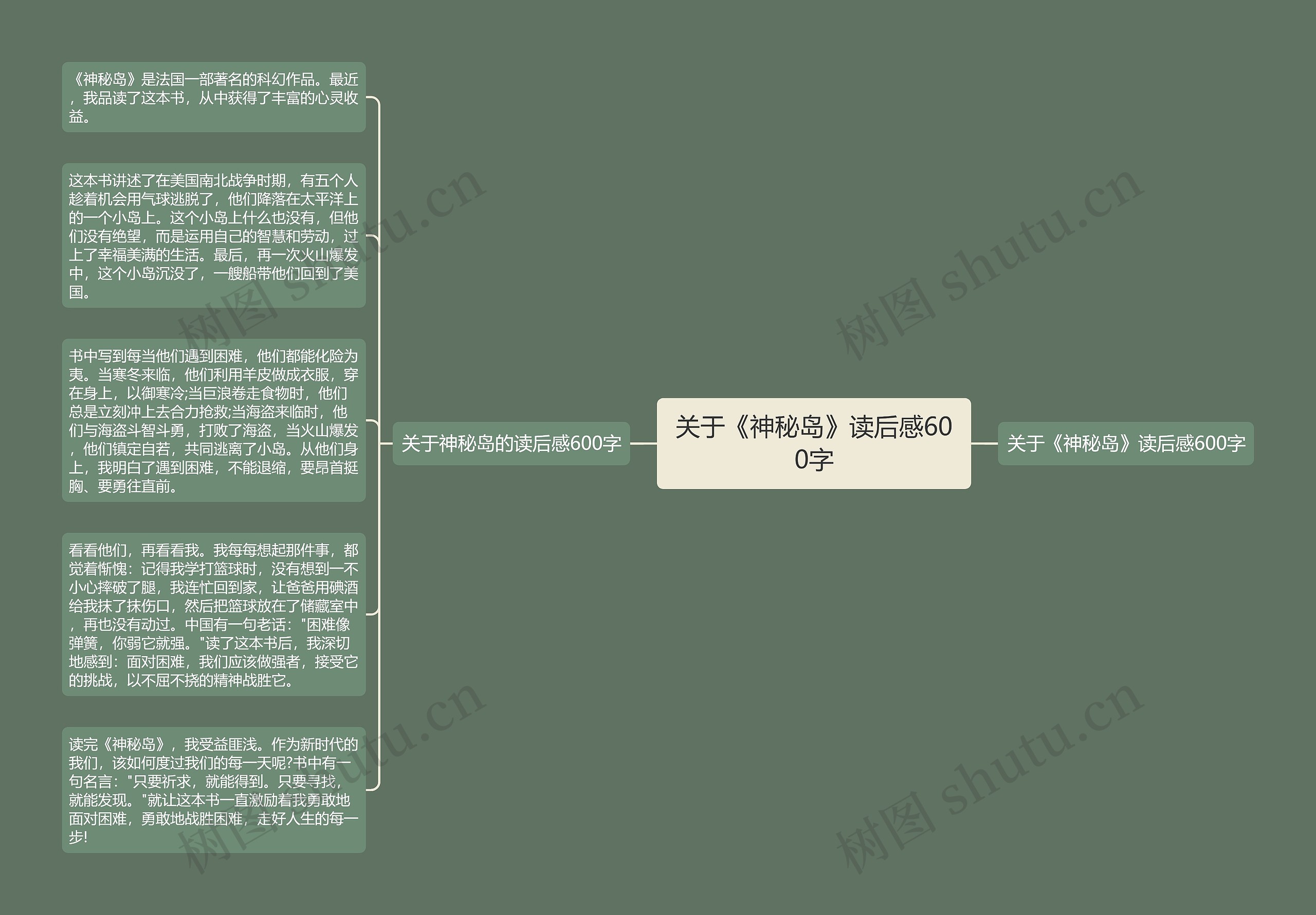关于《神秘岛》读后感600字