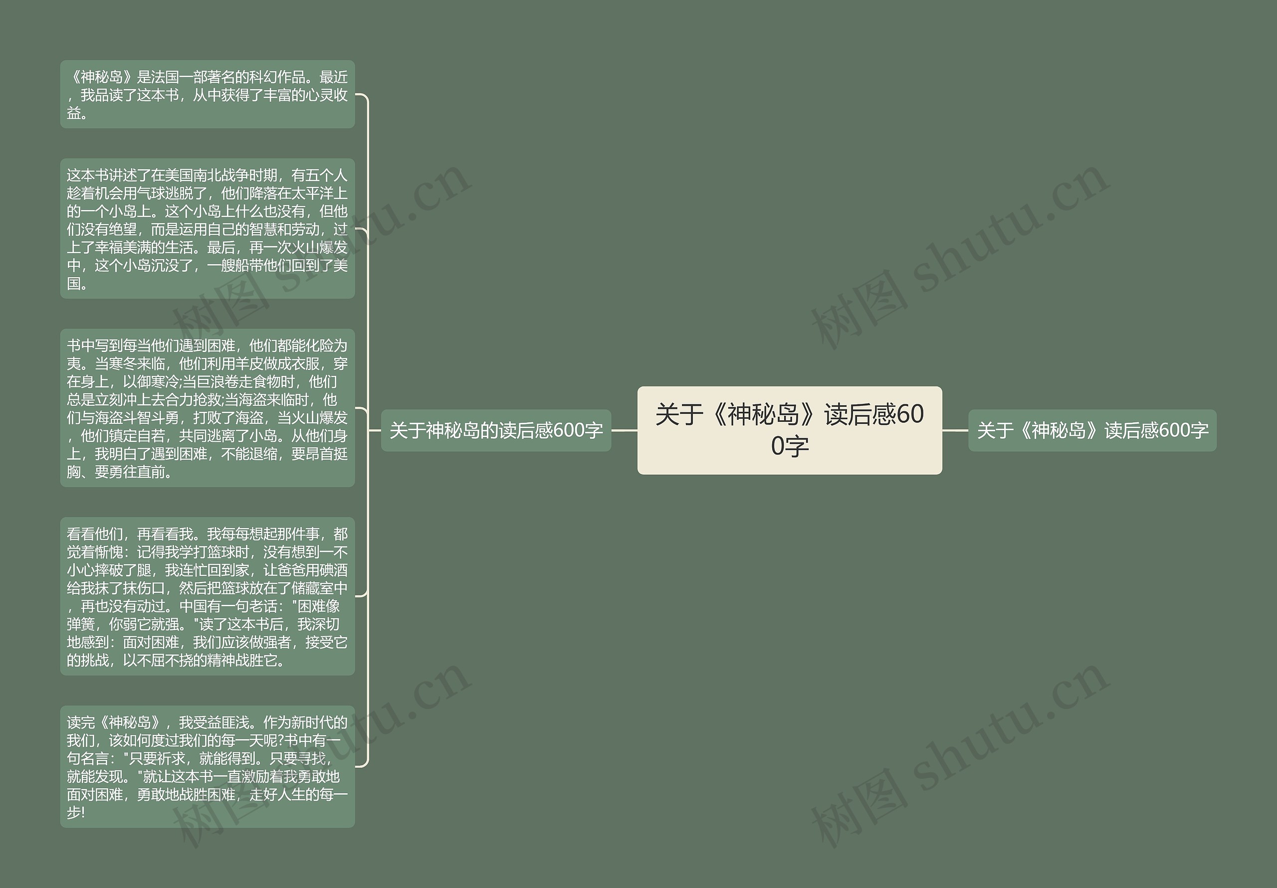 关于《神秘岛》读后感600字