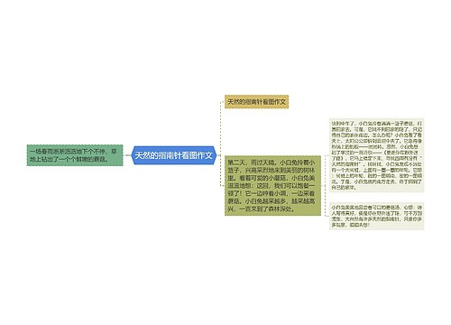 天然的指南针看图作文