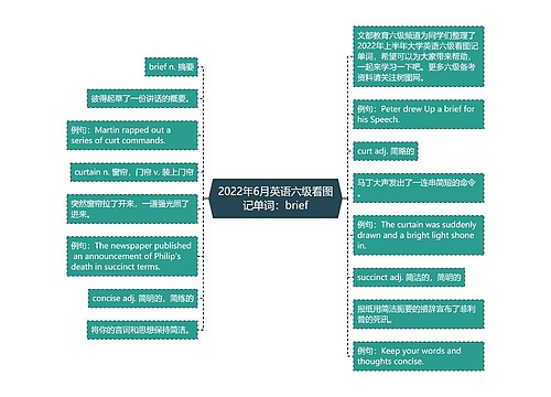 2022年6月英语六级看图记单词：brief