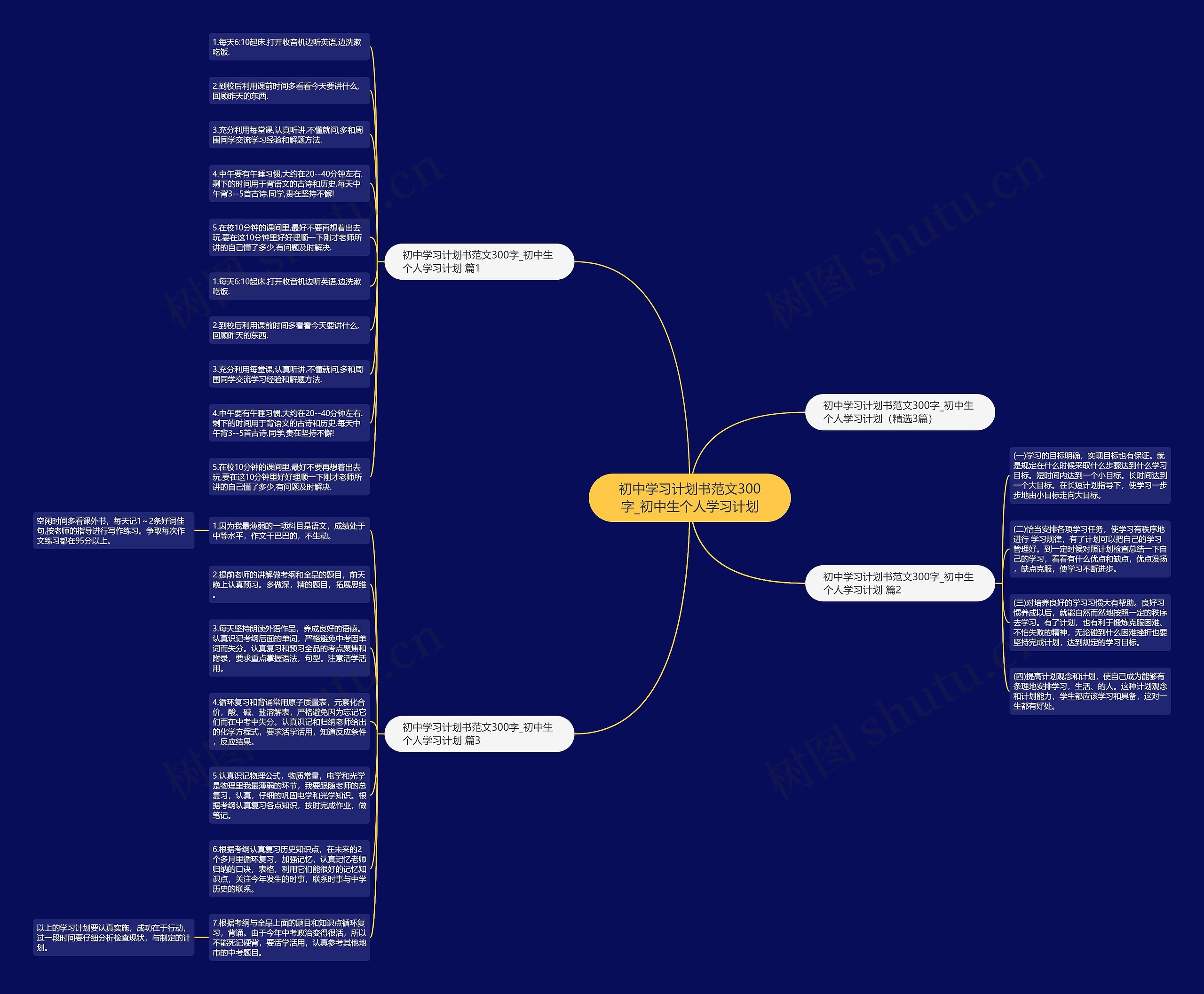 初中学习计划书范文300字_初中生个人学习计划思维导图