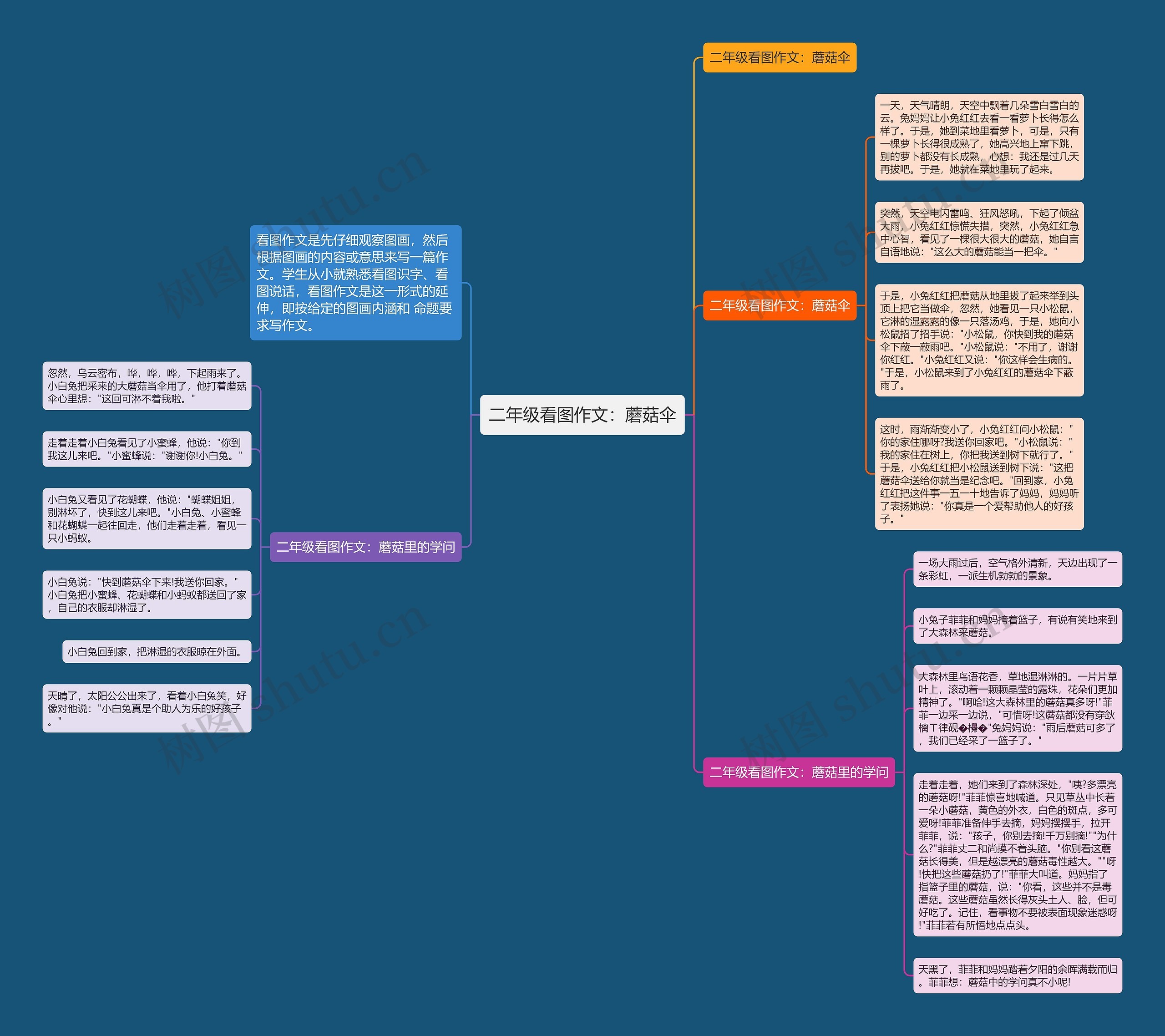 二年级看图作文：蘑菇伞思维导图