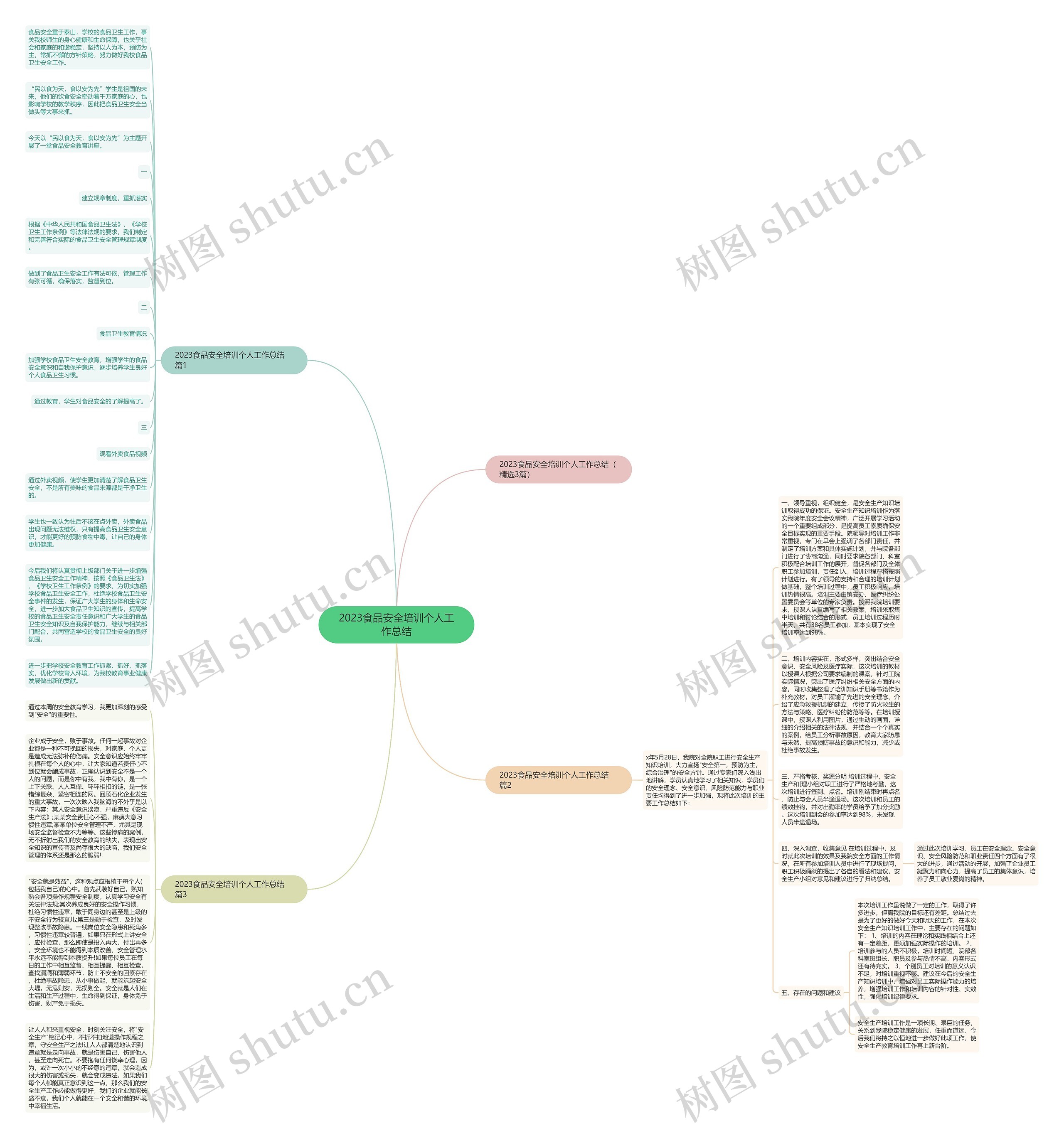 2023食品安全培训个人工作总结思维导图