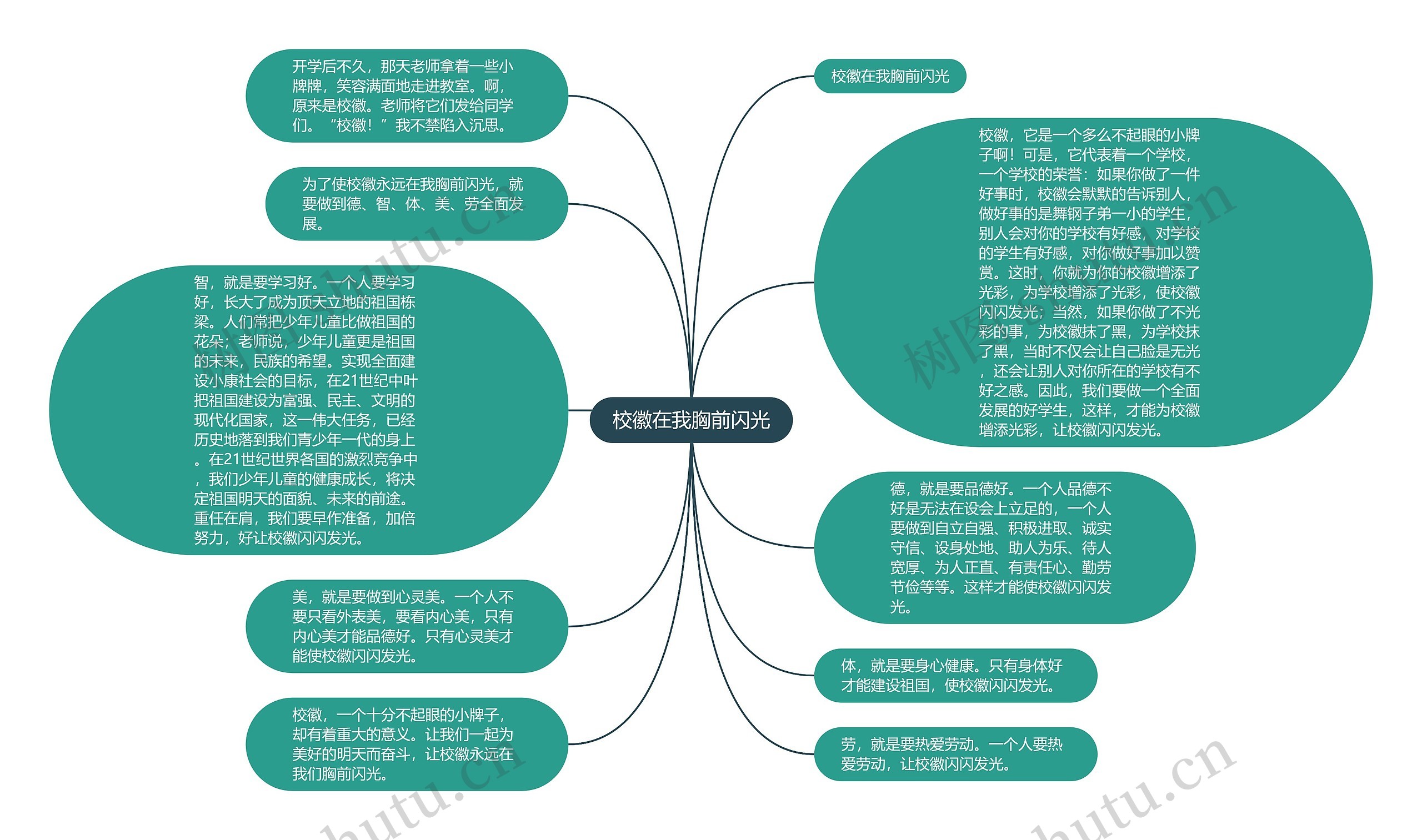 校徽在我胸前闪光思维导图