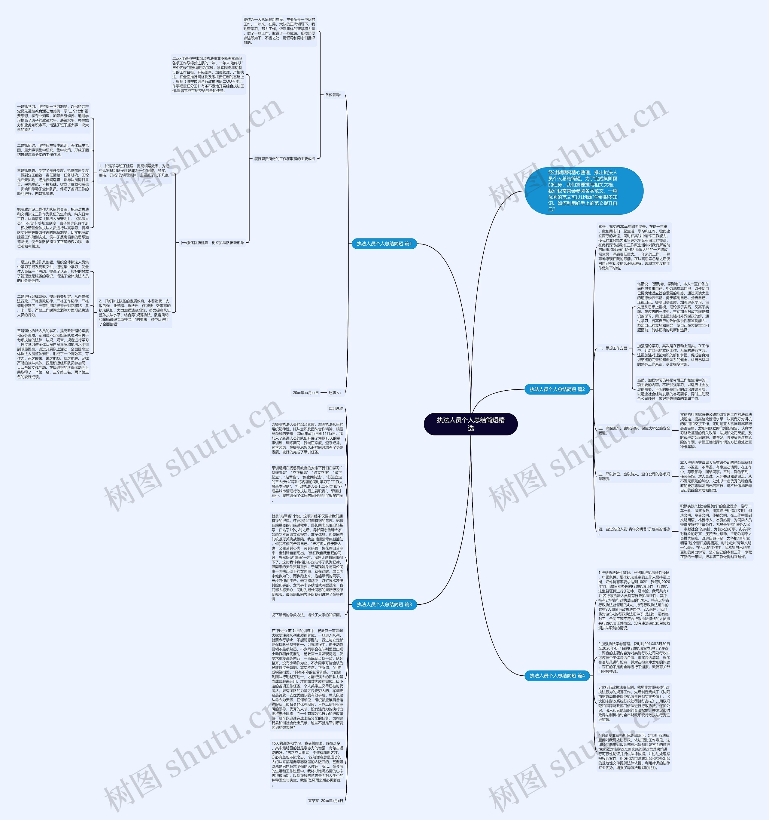 执法人员个人总结简短精选思维导图