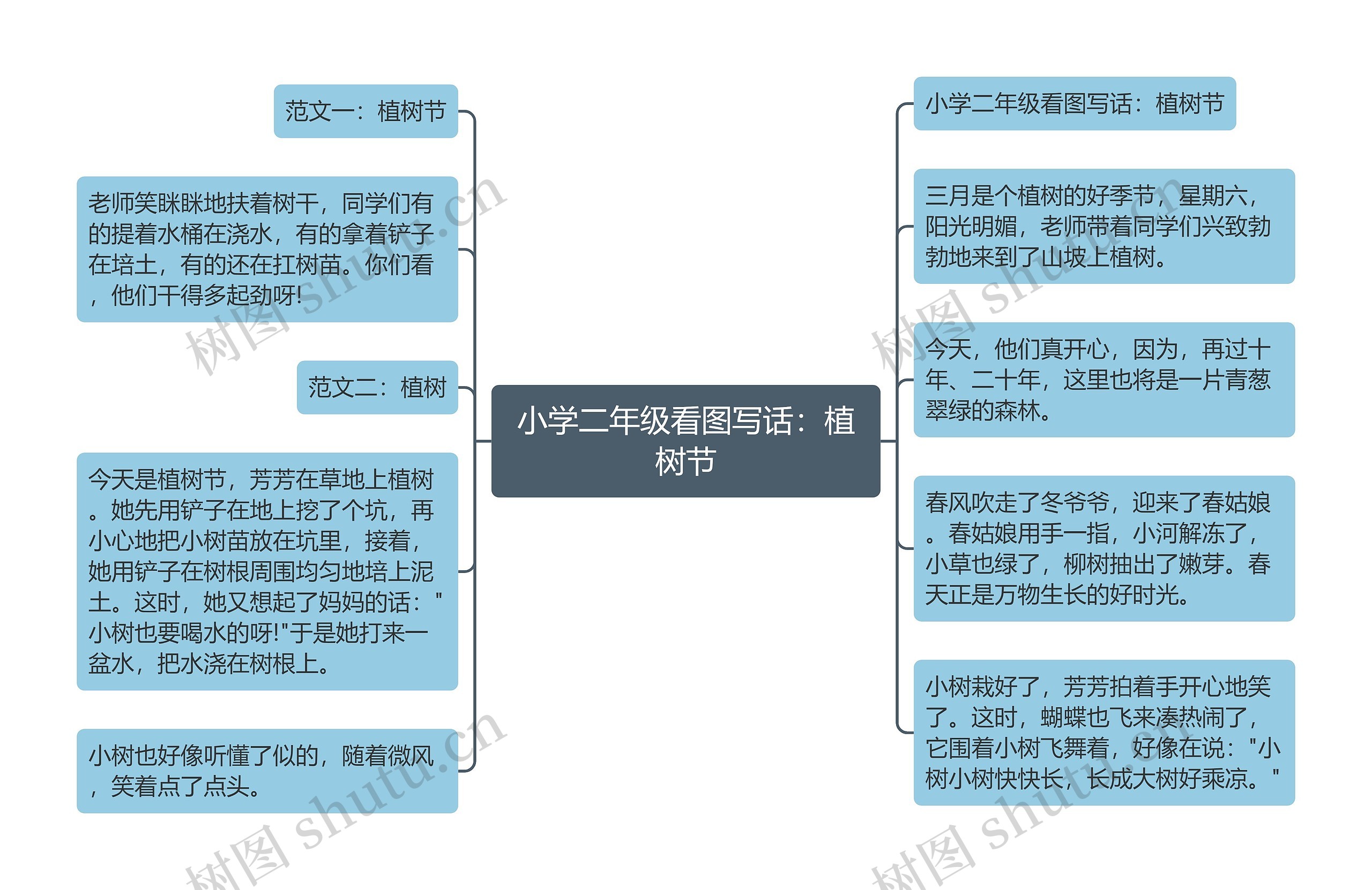 小学二年级看图写话：植树节思维导图