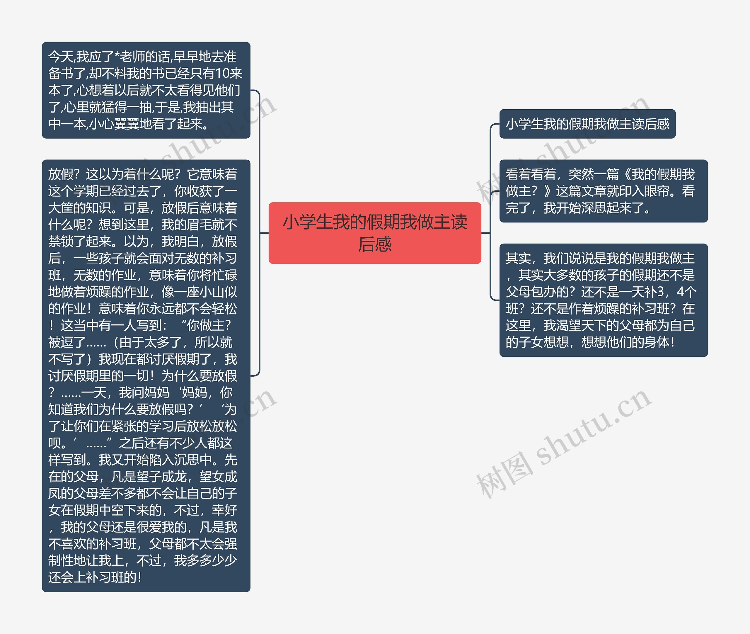 小学生我的假期我做主读后感