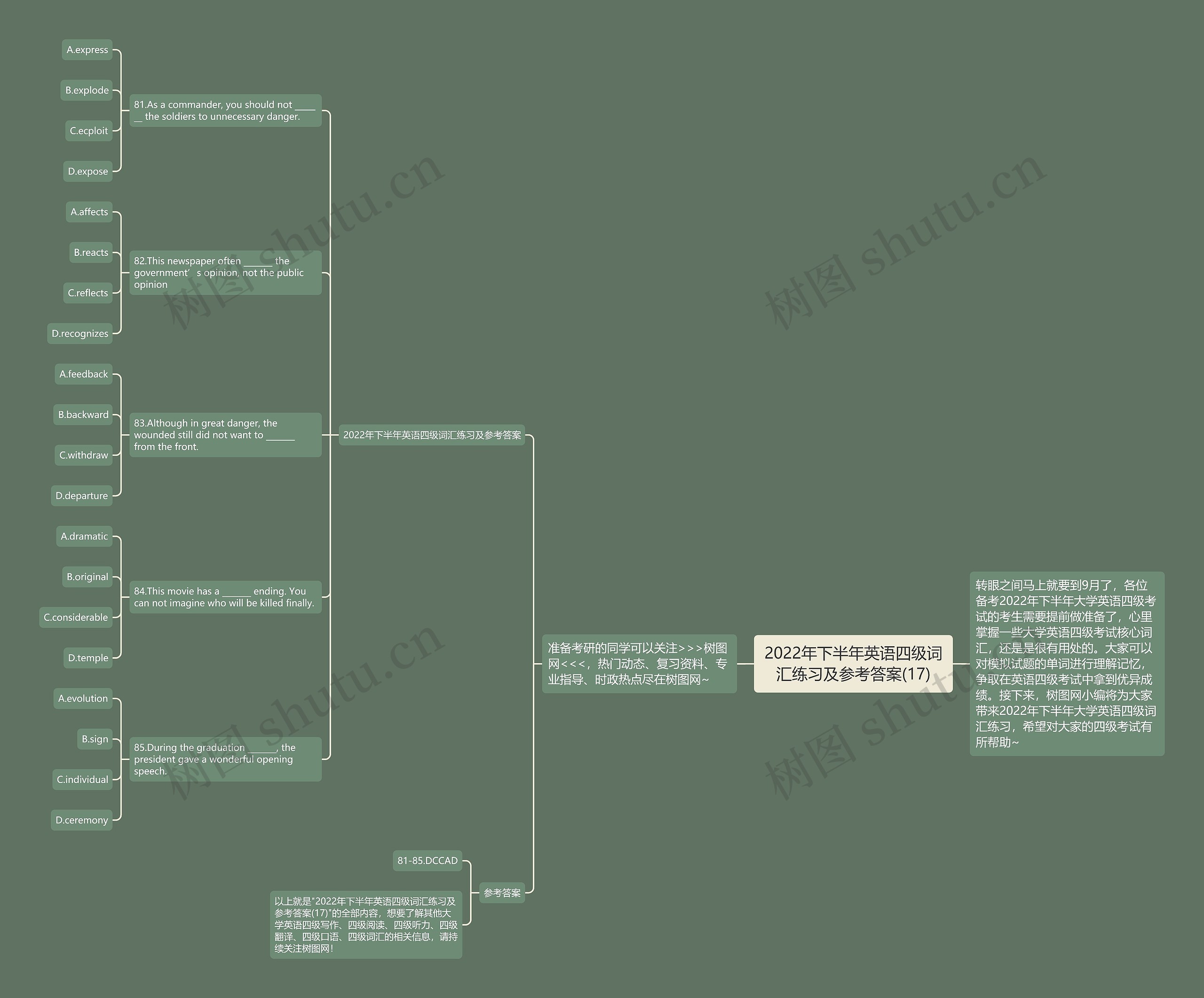 2022年下半年英语四级词汇练习及参考答案(17)思维导图