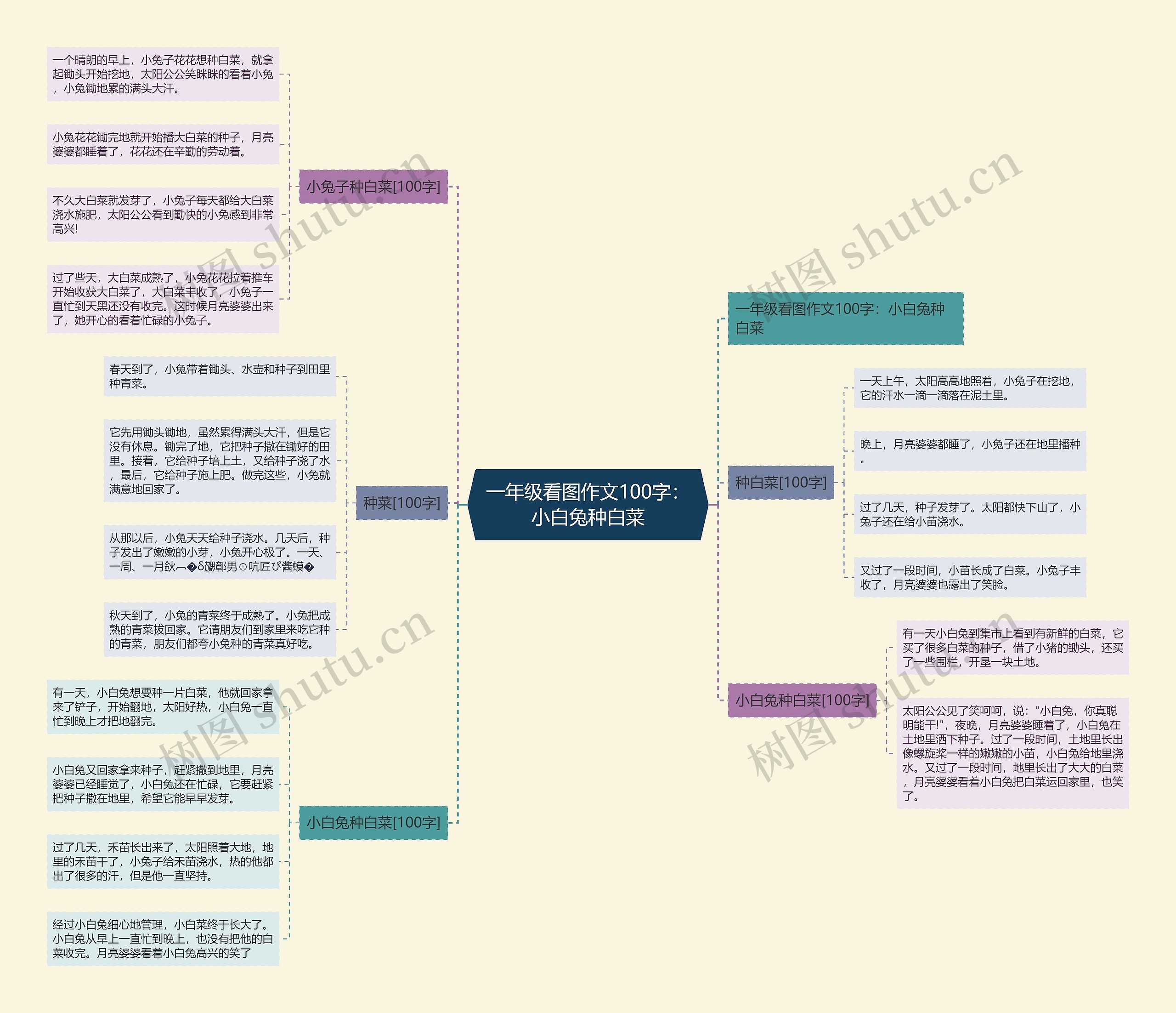 一年级看图作文100字：小白兔种白菜思维导图