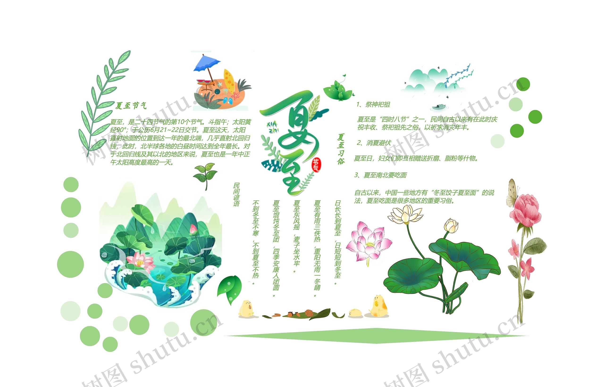 夏至节气手抄报