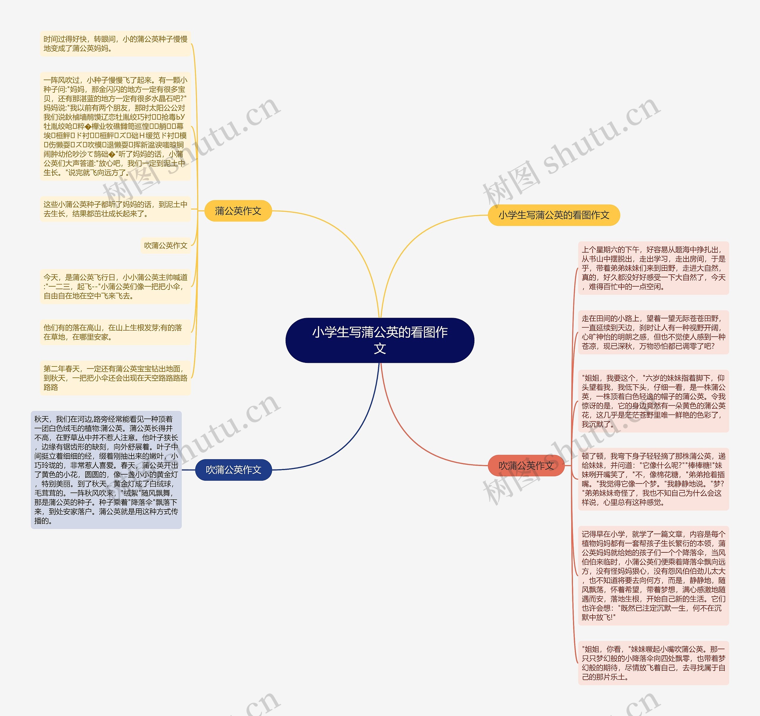 小学生写蒲公英的看图作文思维导图