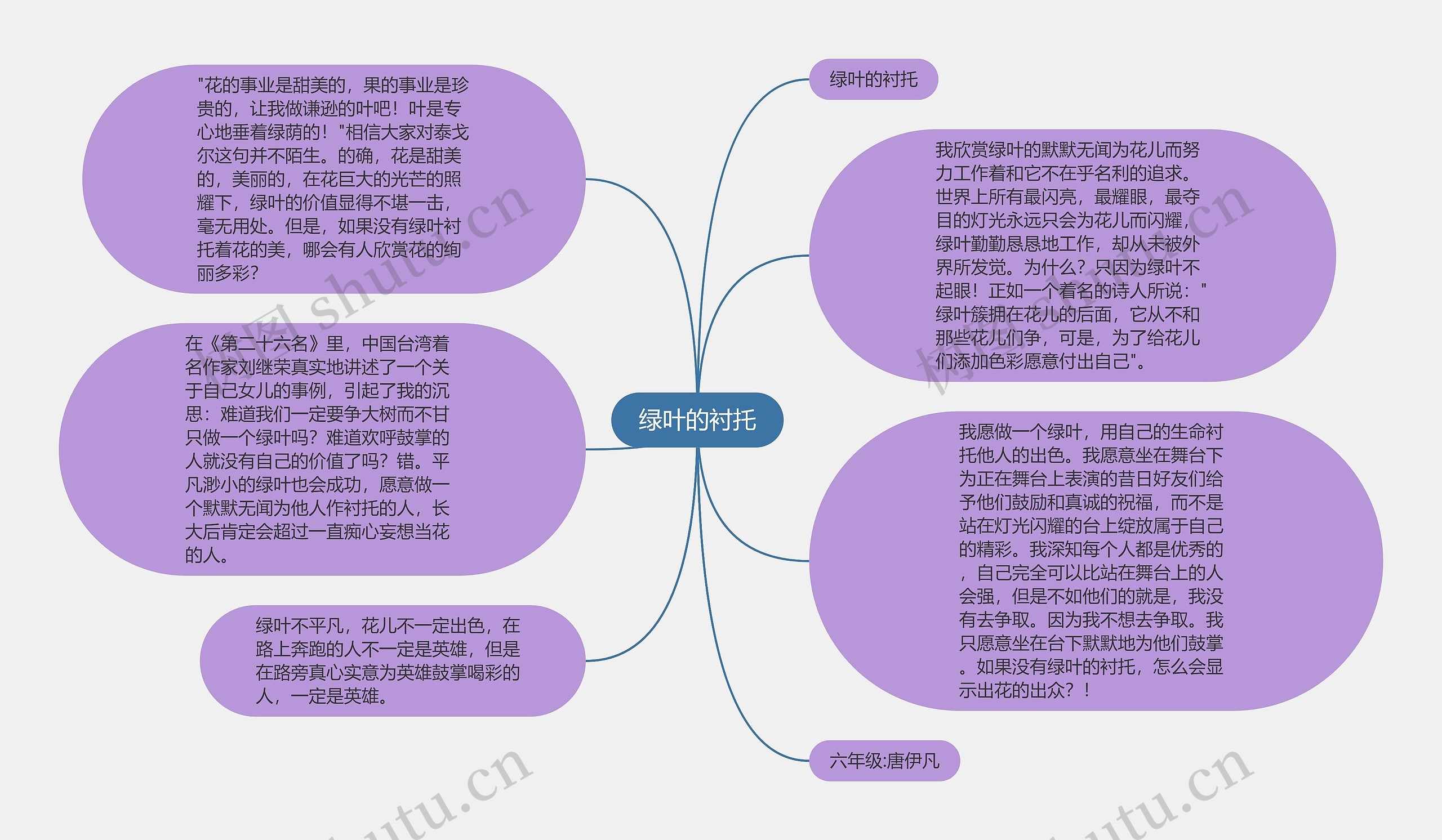 绿叶的衬托思维导图