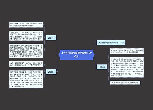 小学生爱的教育读后感200字