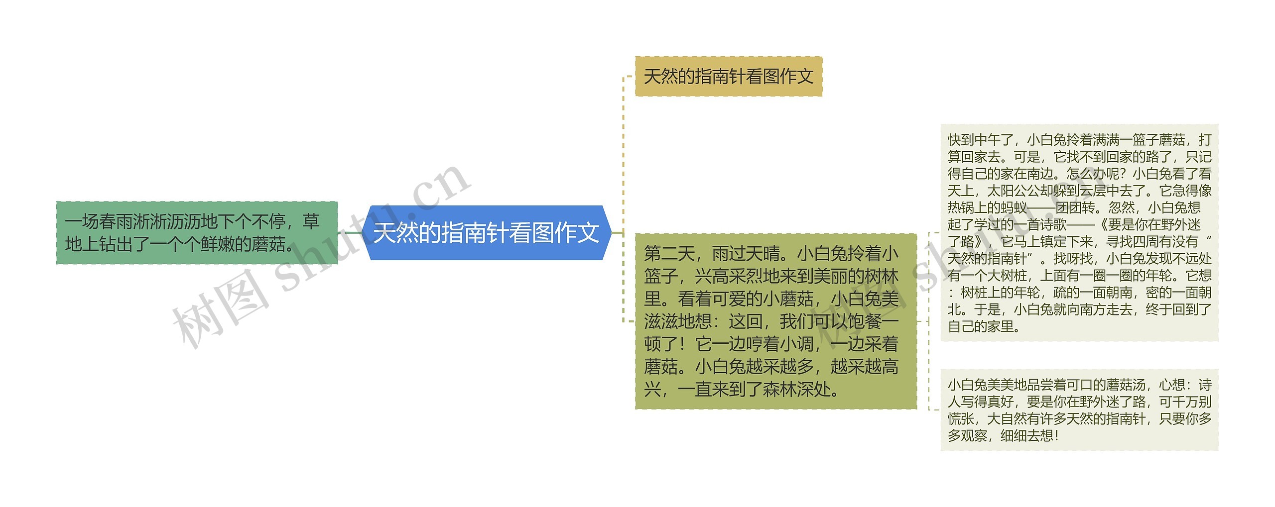 天然的指南针看图作文思维导图