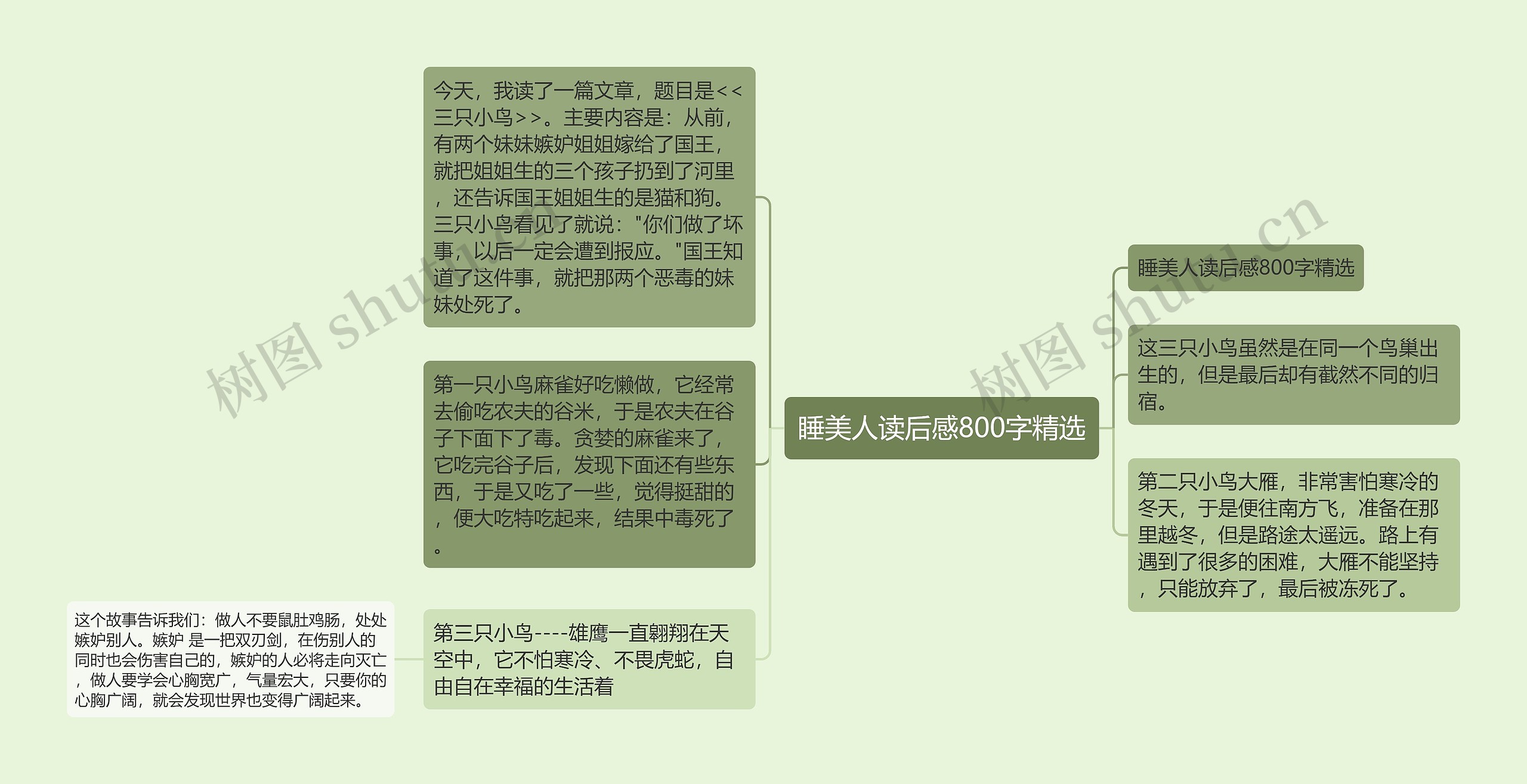 睡美人读后感800字精选 睡美人读后感800字精选