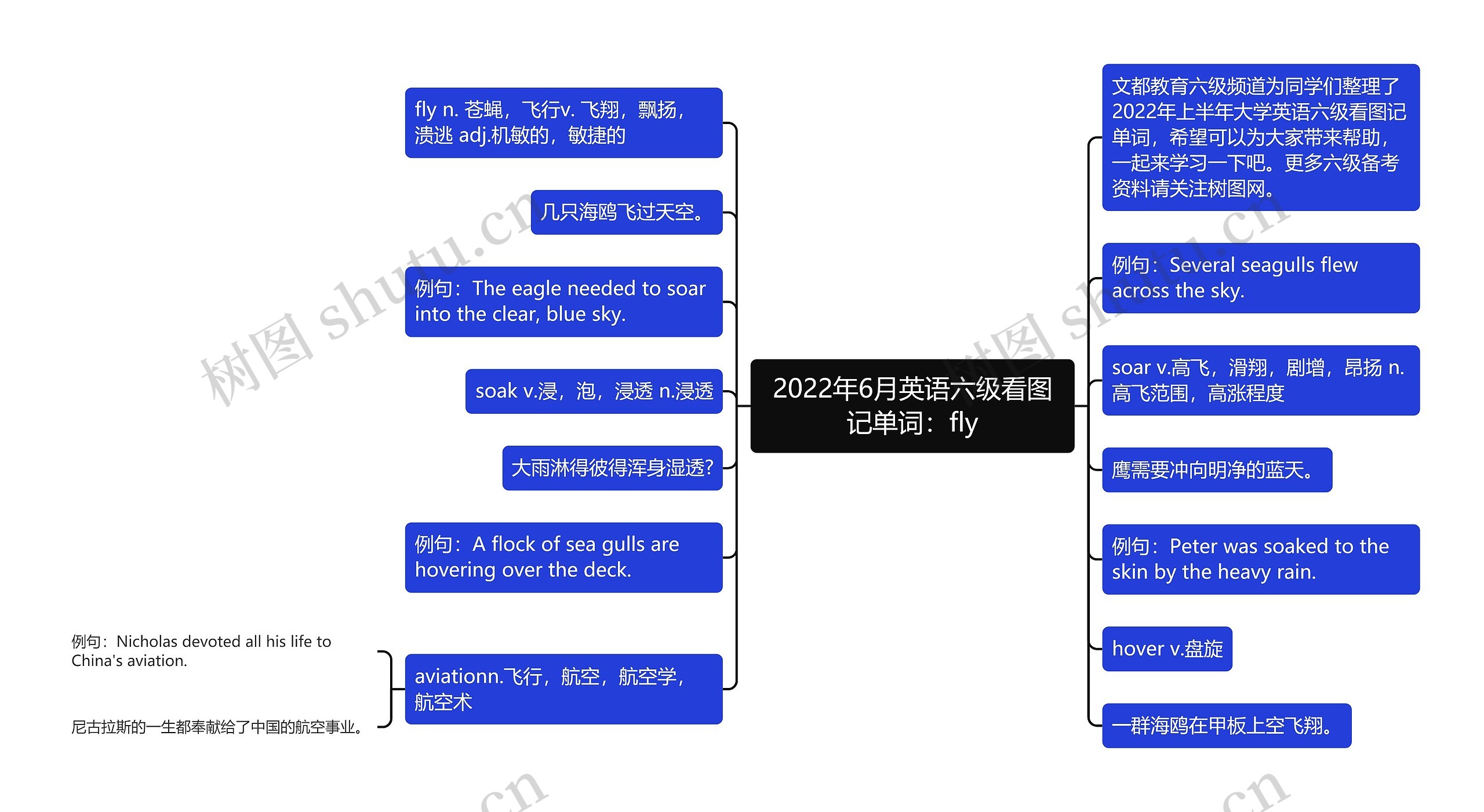 2022年6月英语六级看图记单词：fly思维导图