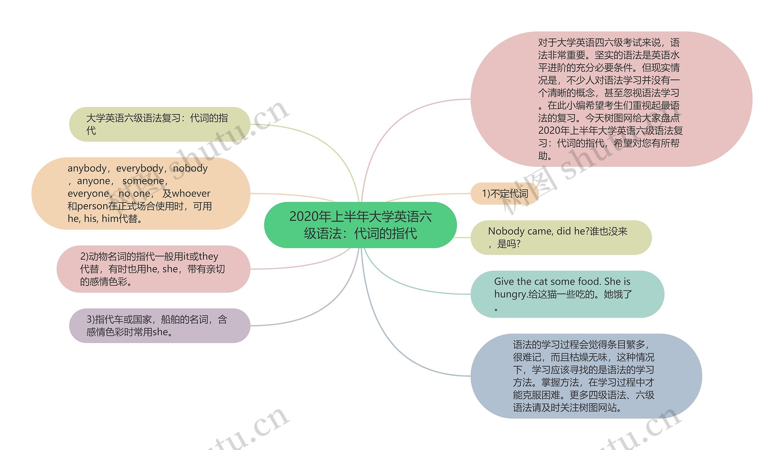 2020年上半年大学英语六级语法：代词的指代