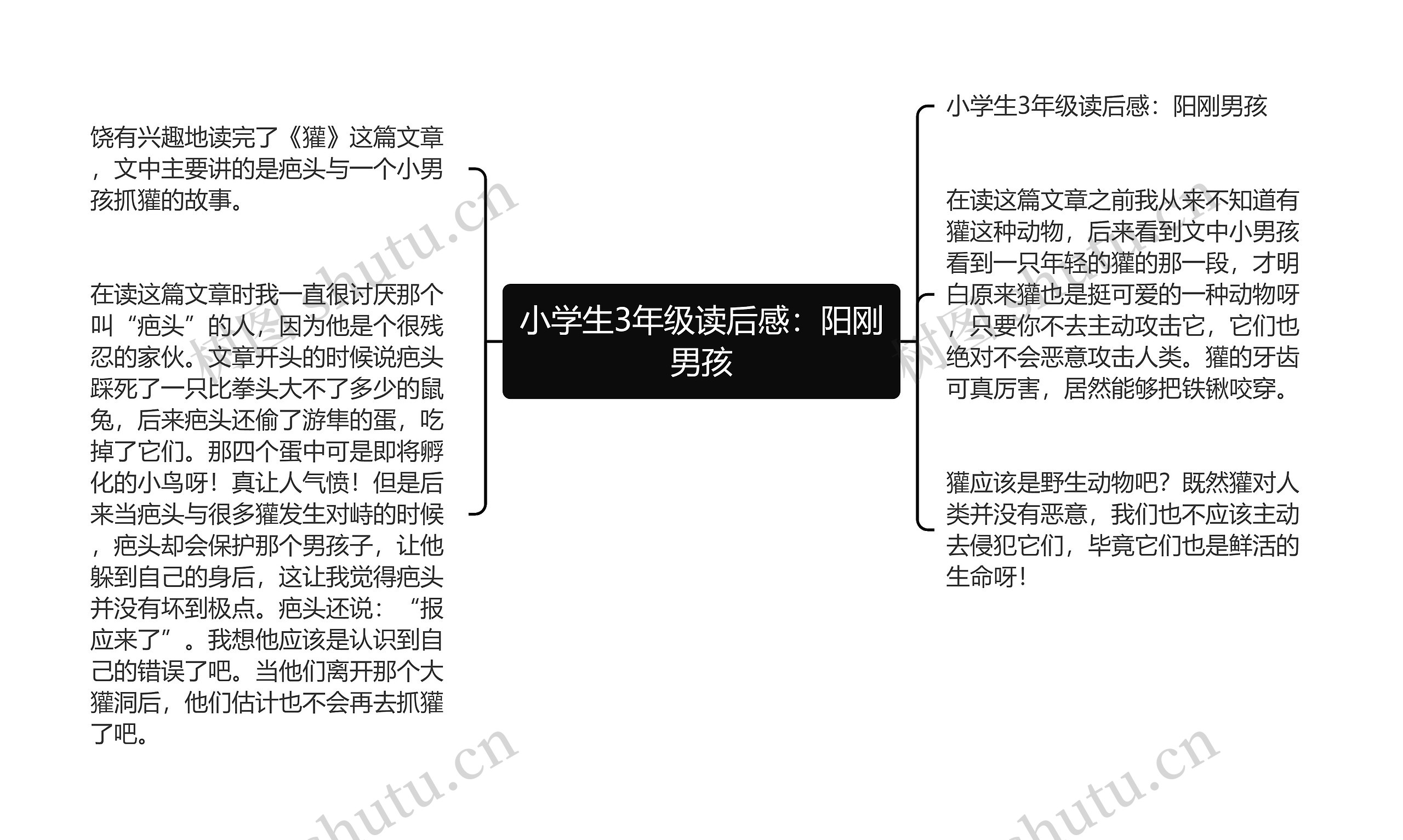 小学生3年级读后感：阳刚男孩