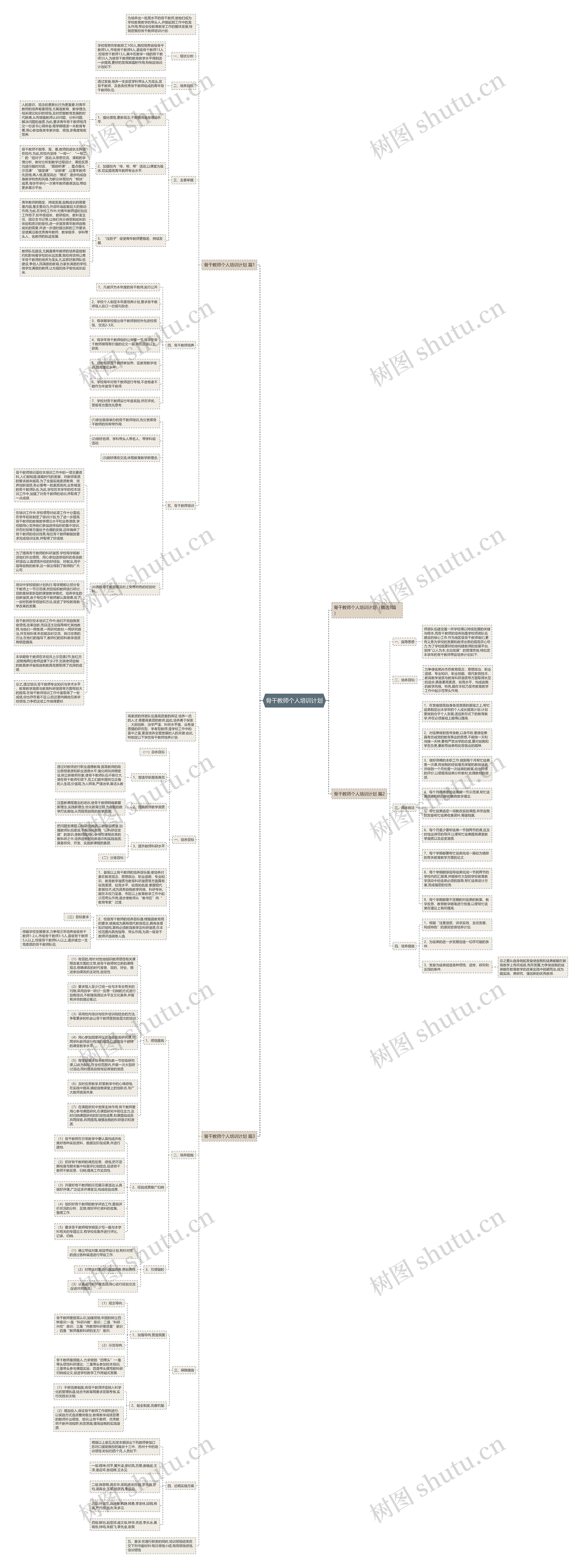 骨干教师个人培训计划思维导图