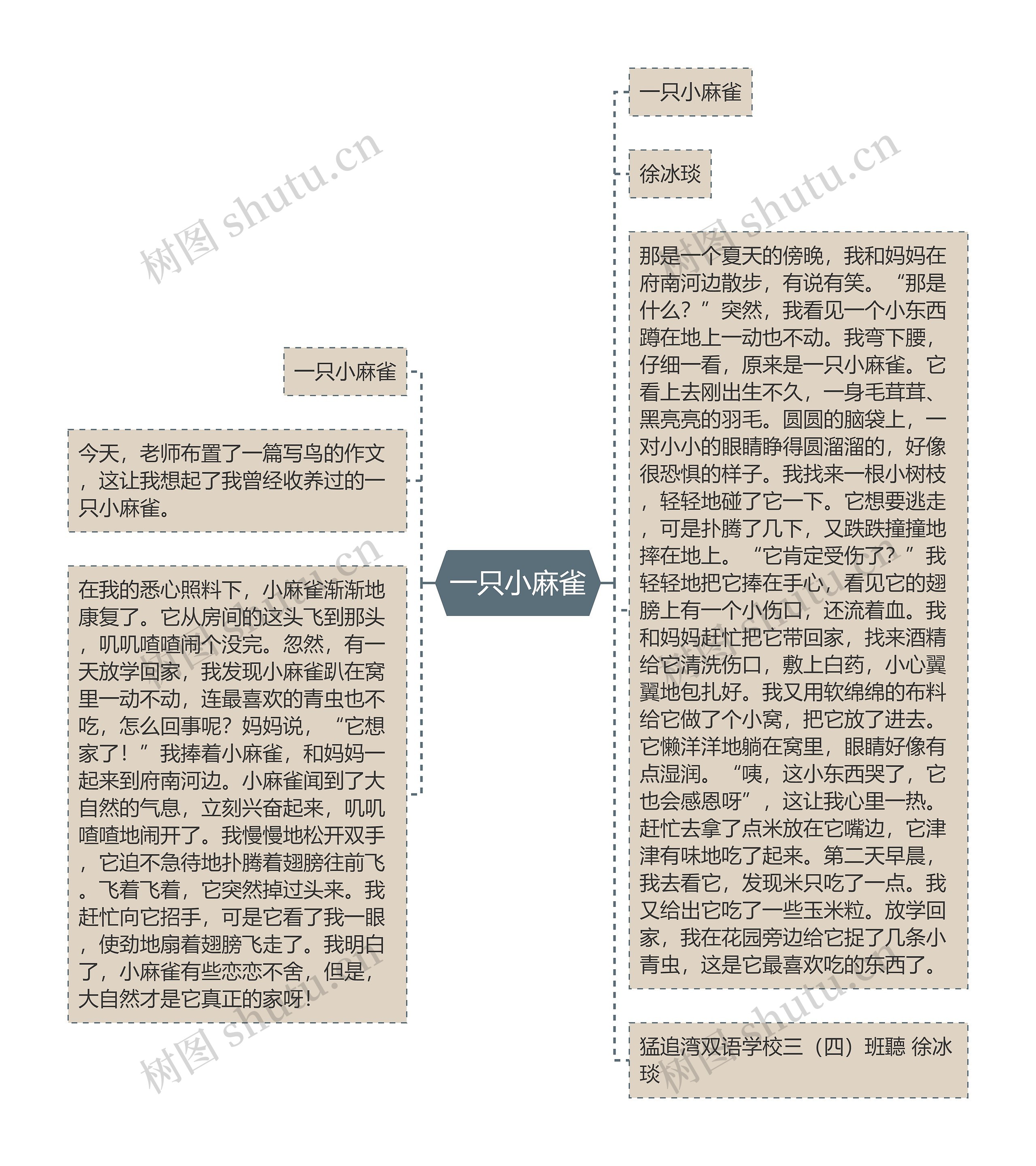 一只小麻雀