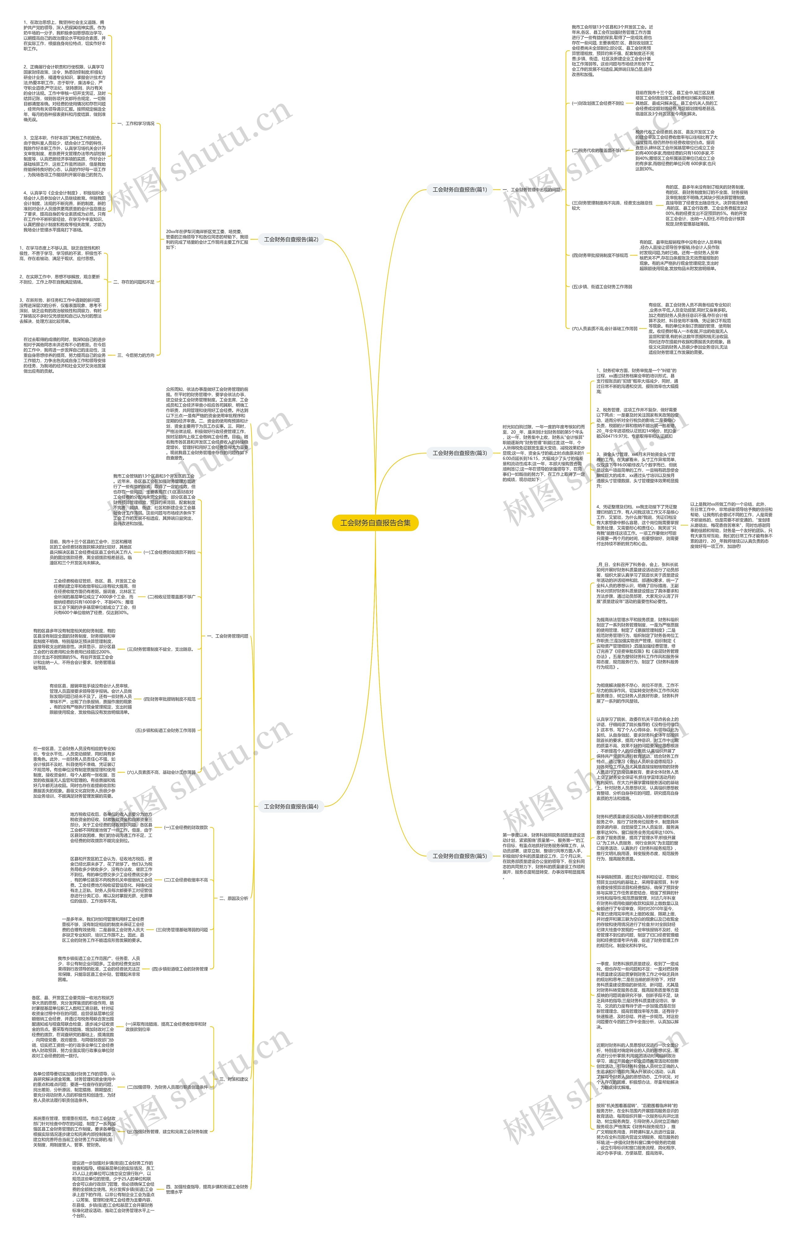 工会财务自查报告合集思维导图