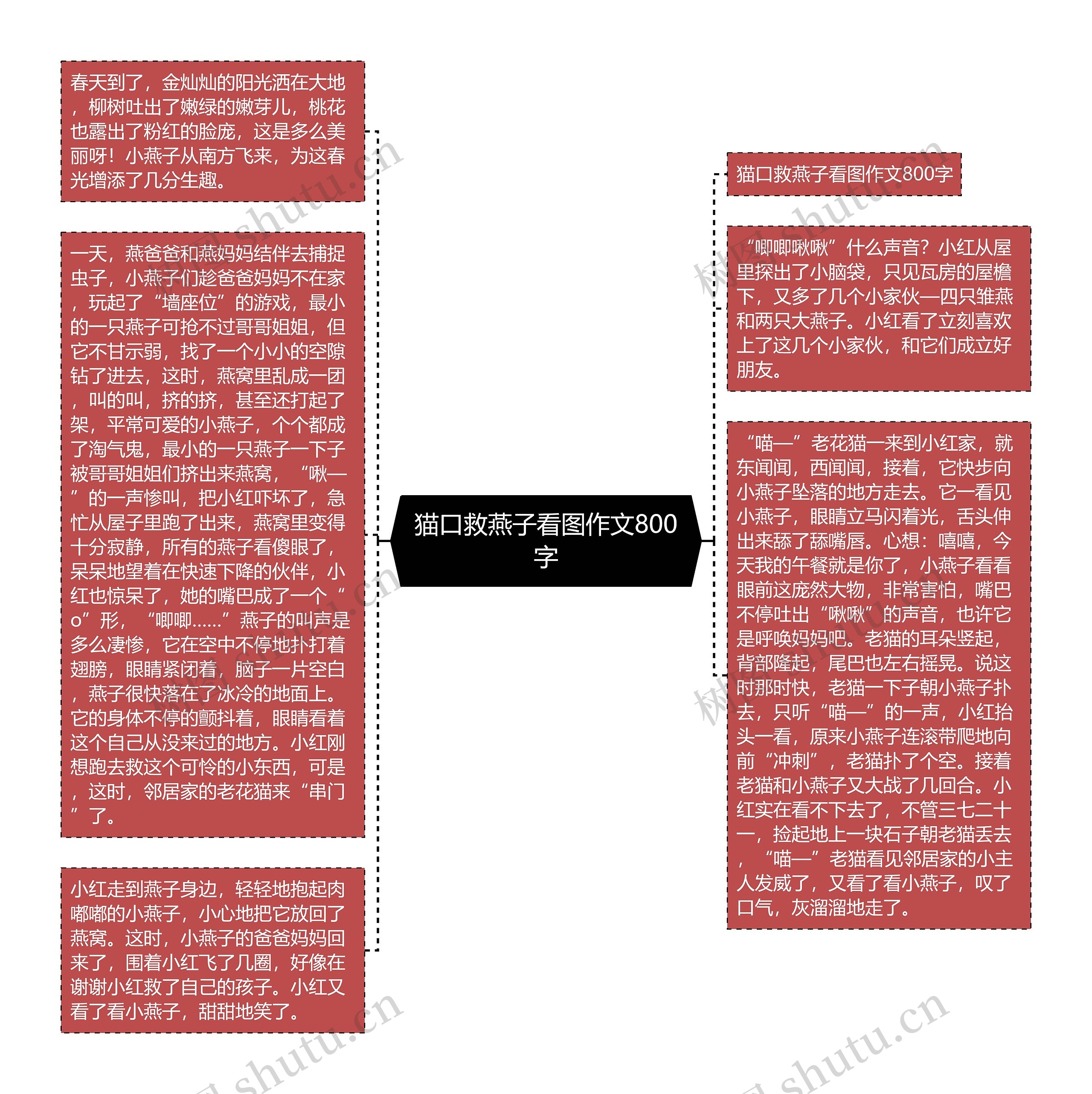 猫口救燕子看图作文800字思维导图