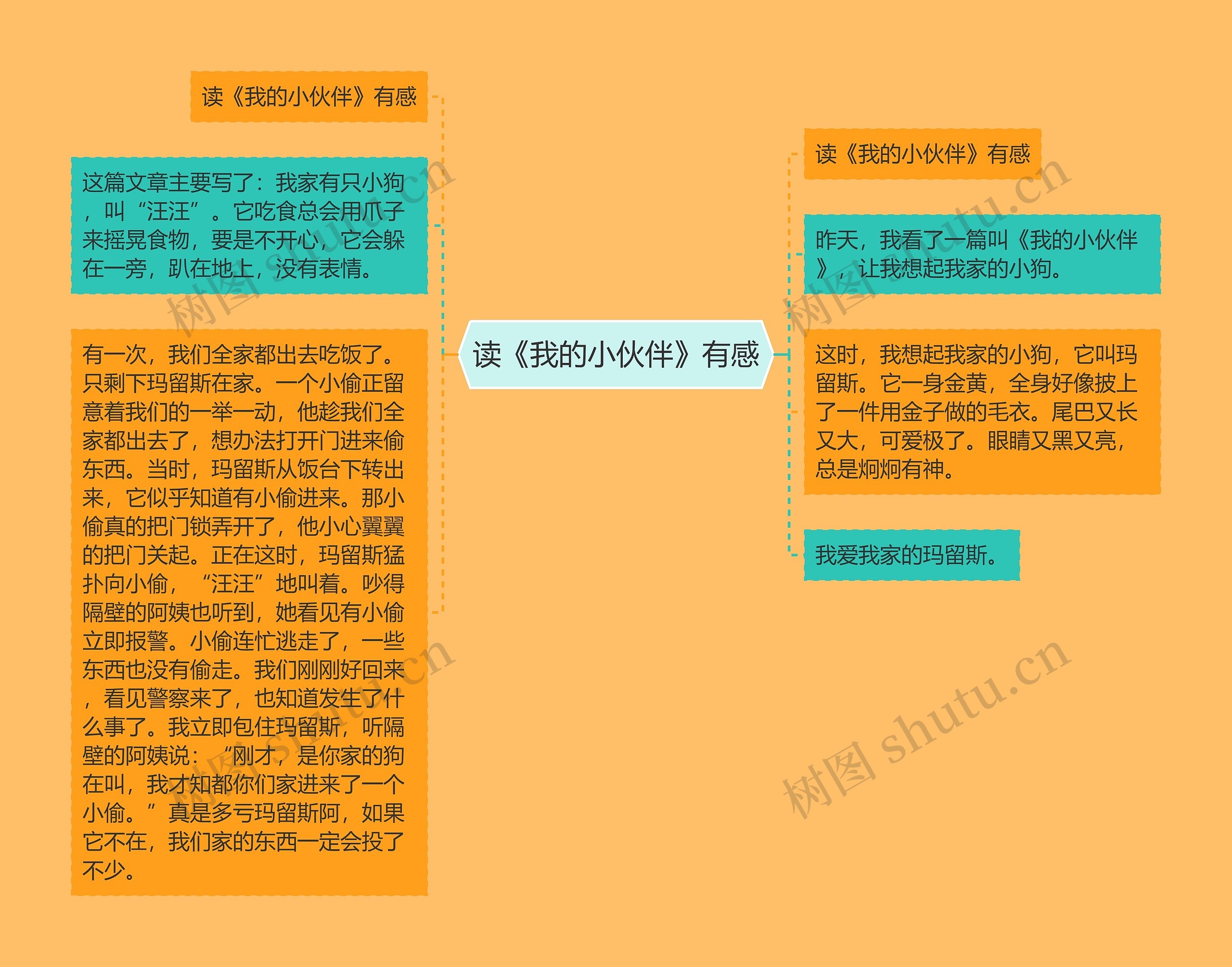 读《我的小伙伴》有感思维导图