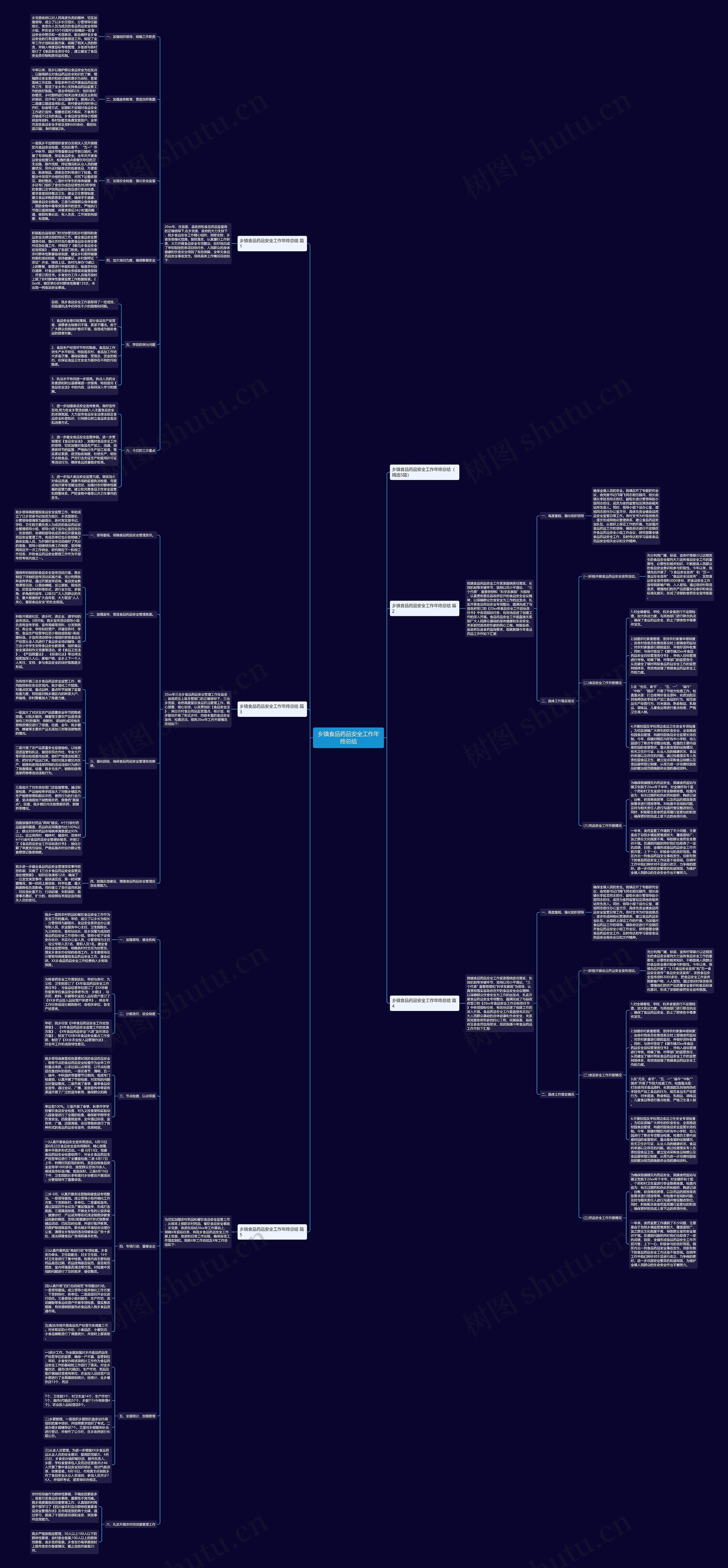 乡镇食品药品安全工作年终总结思维导图