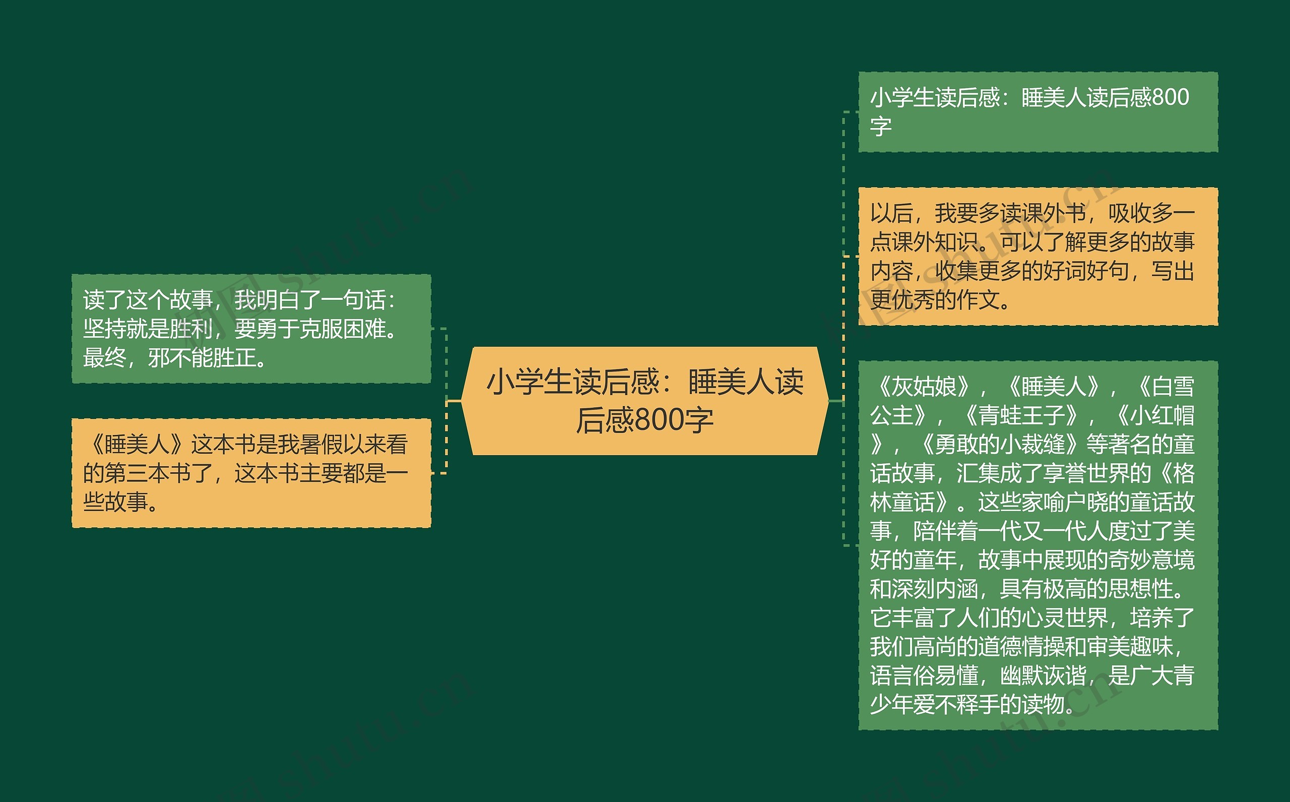 小学生读后感：睡美人读后感800字