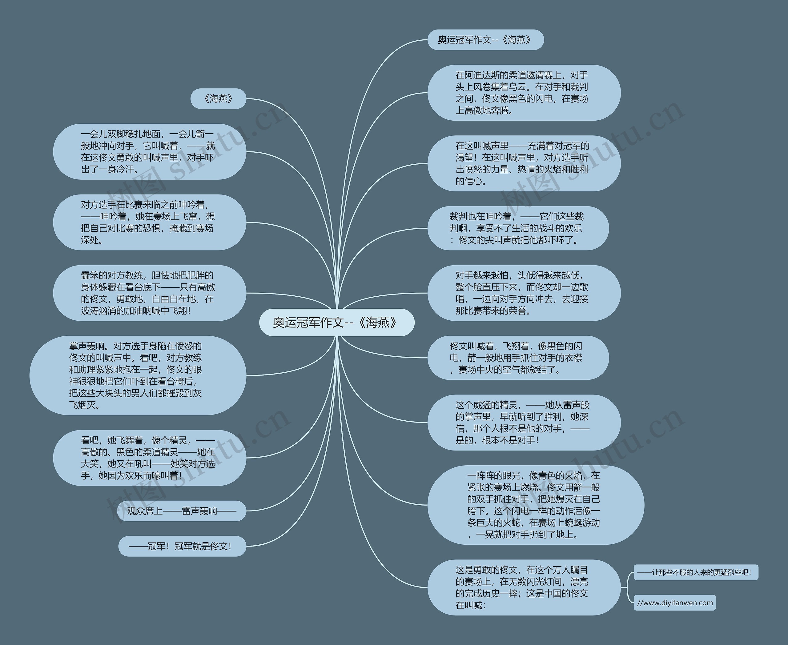 奥运冠军作文--《海燕》思维导图