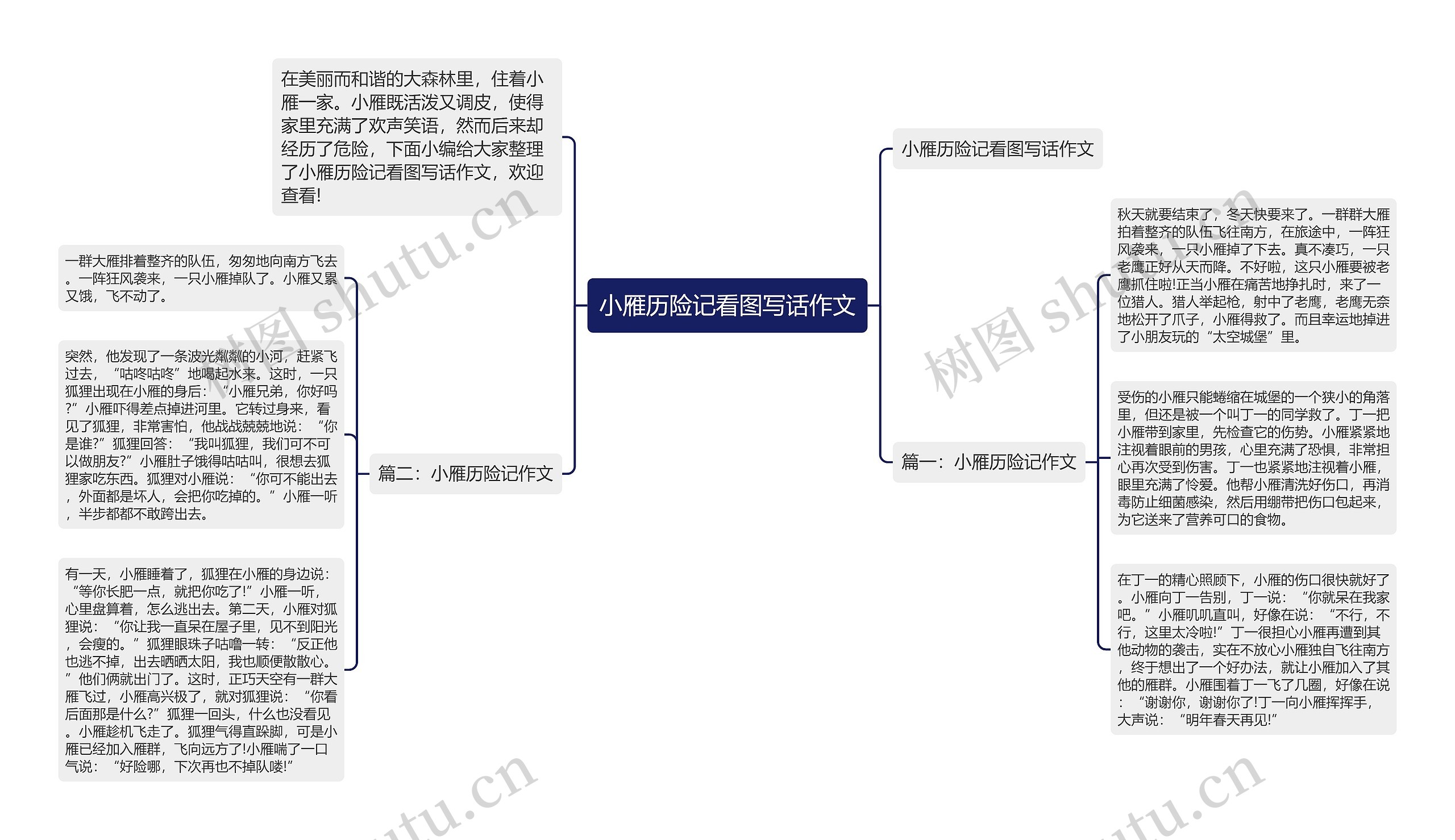 小雁历险记看图写话作文