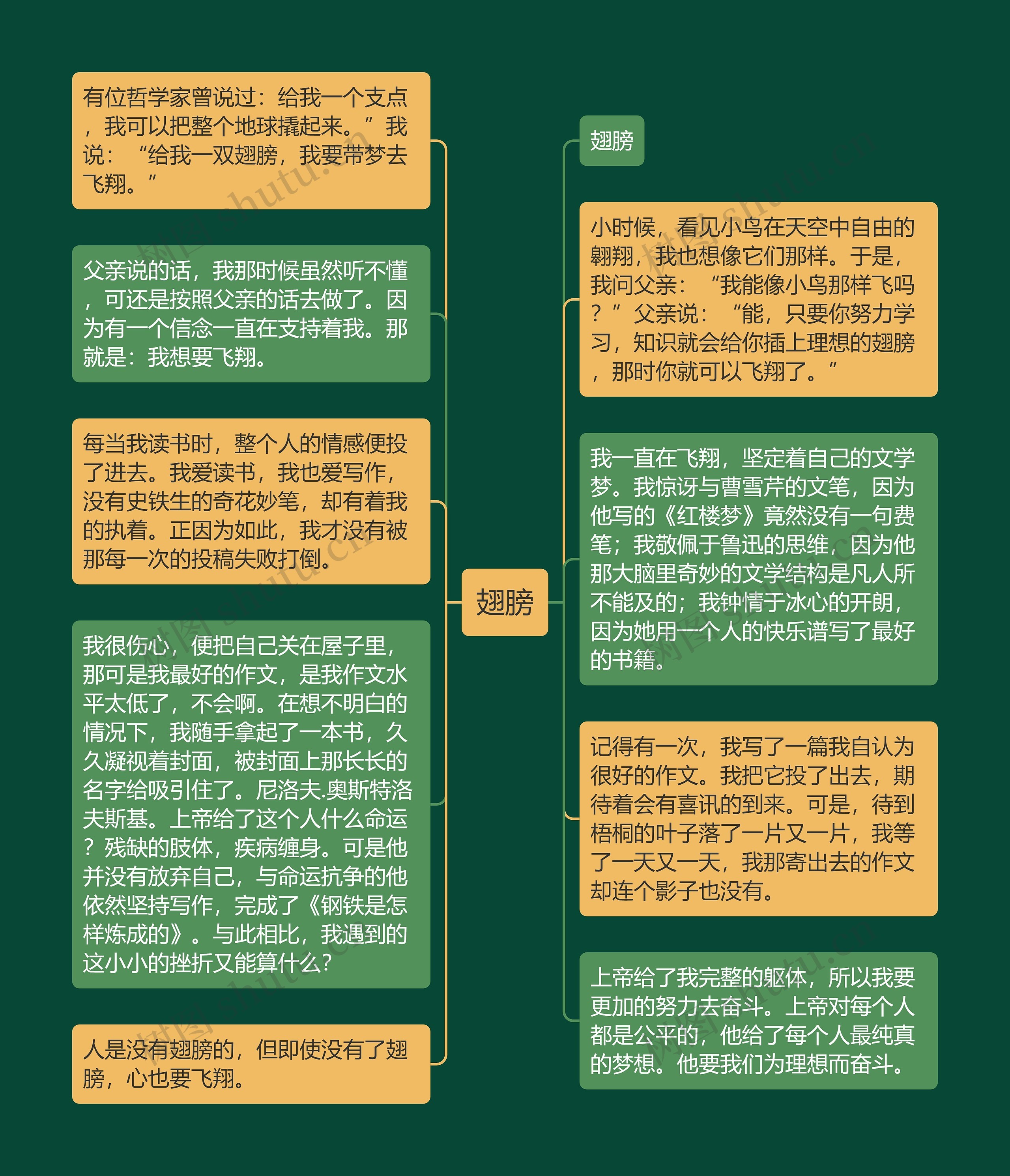 翅膀思维导图