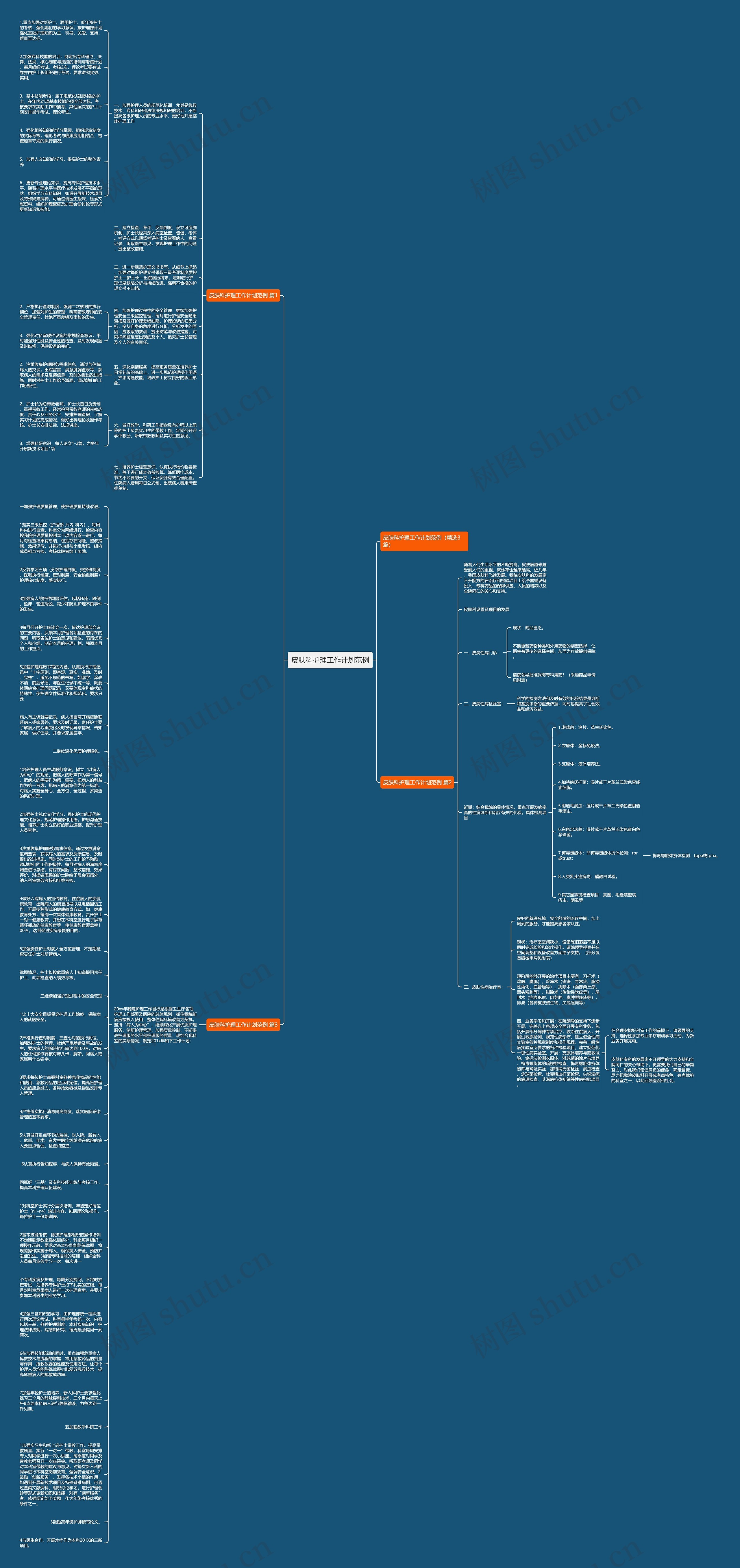 皮肤科护理工作计划范例思维导图