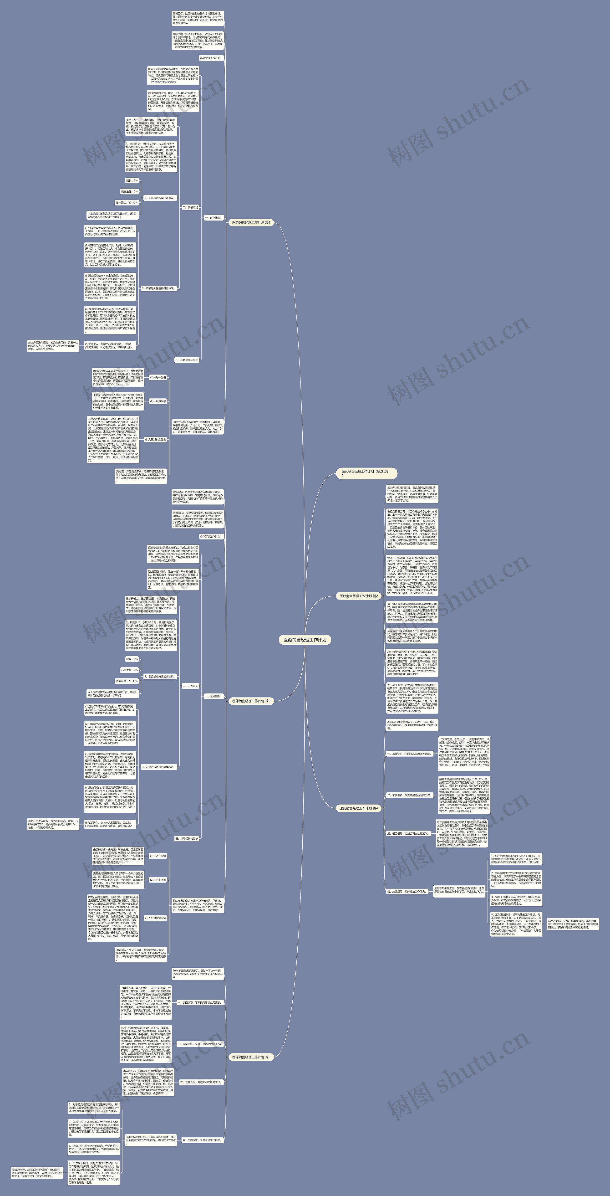 医药销售经理工作计划思维导图
