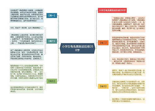 小学生龟兔赛跑读后感200字