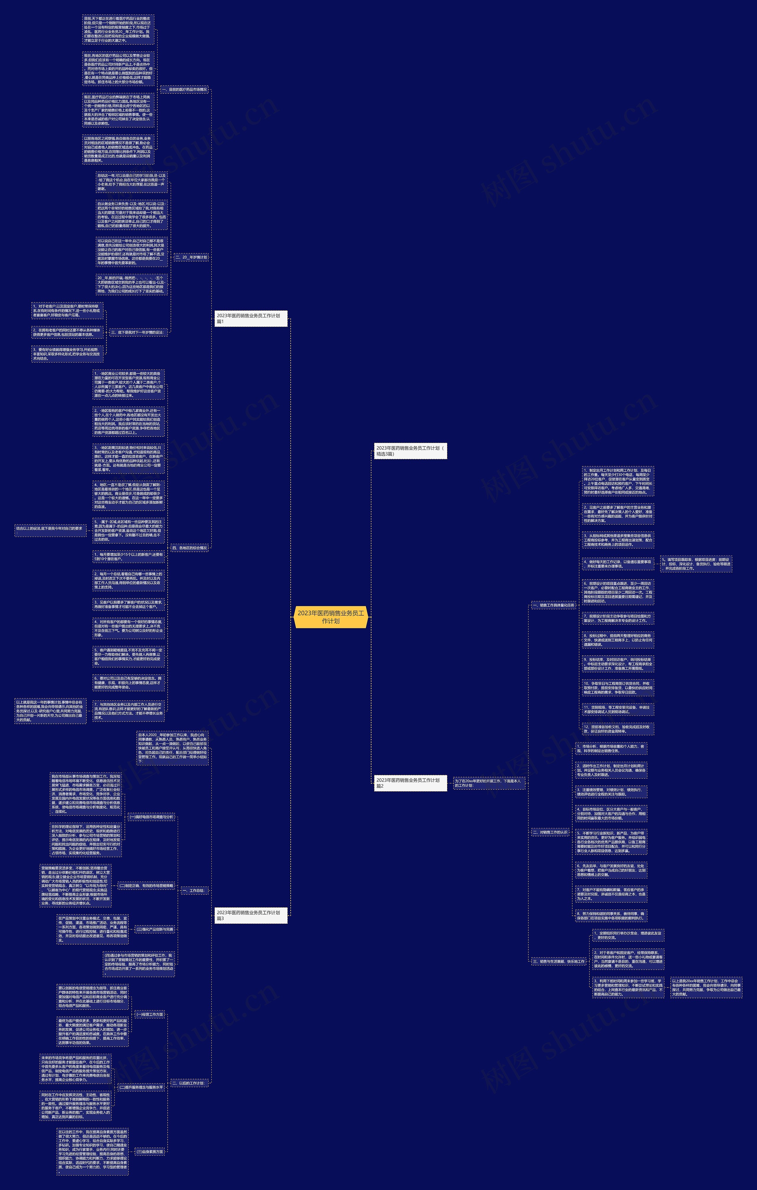 2023年医药销售业务员工作计划思维导图