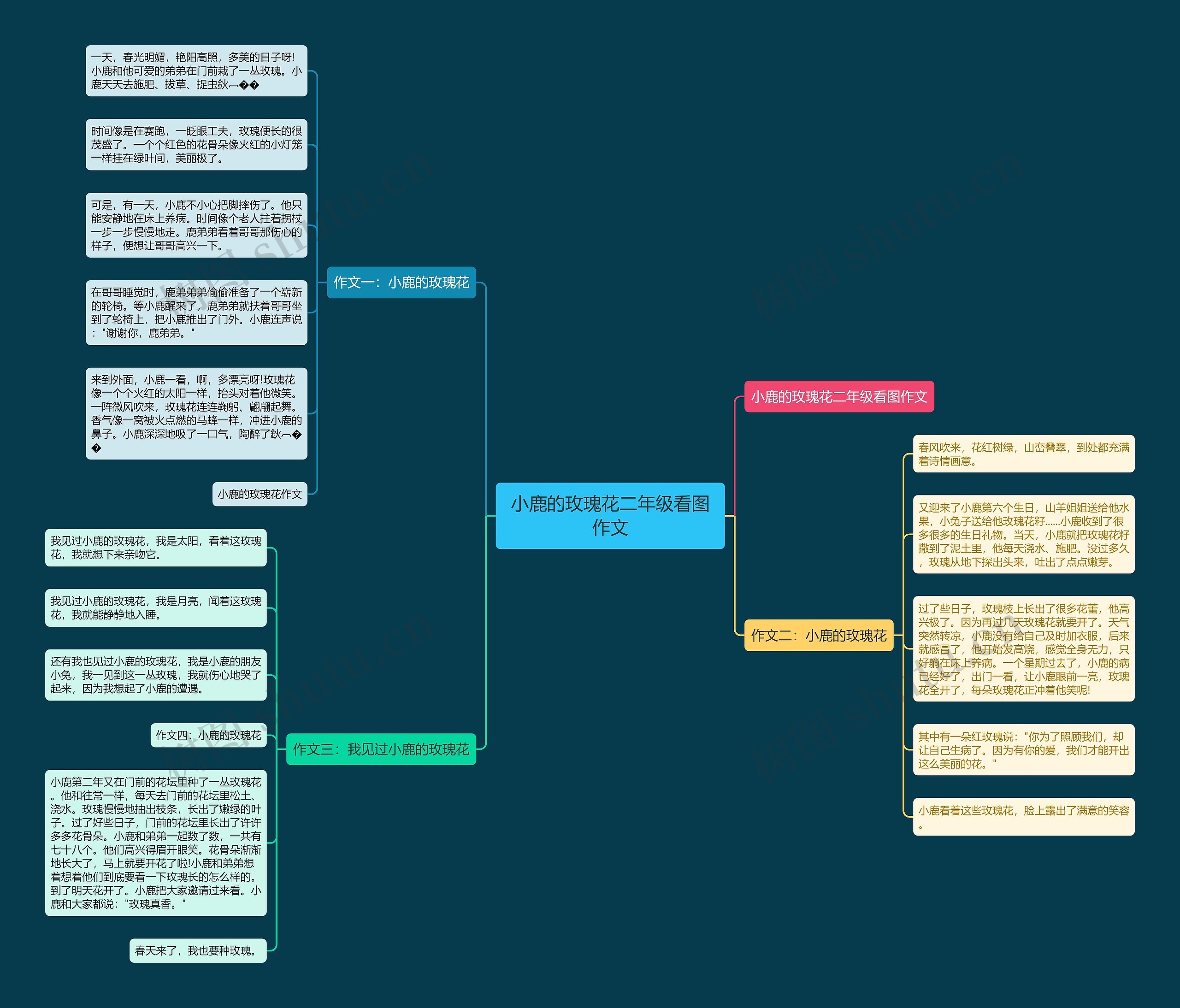 小鹿的玫瑰花二年级看图作文思维导图