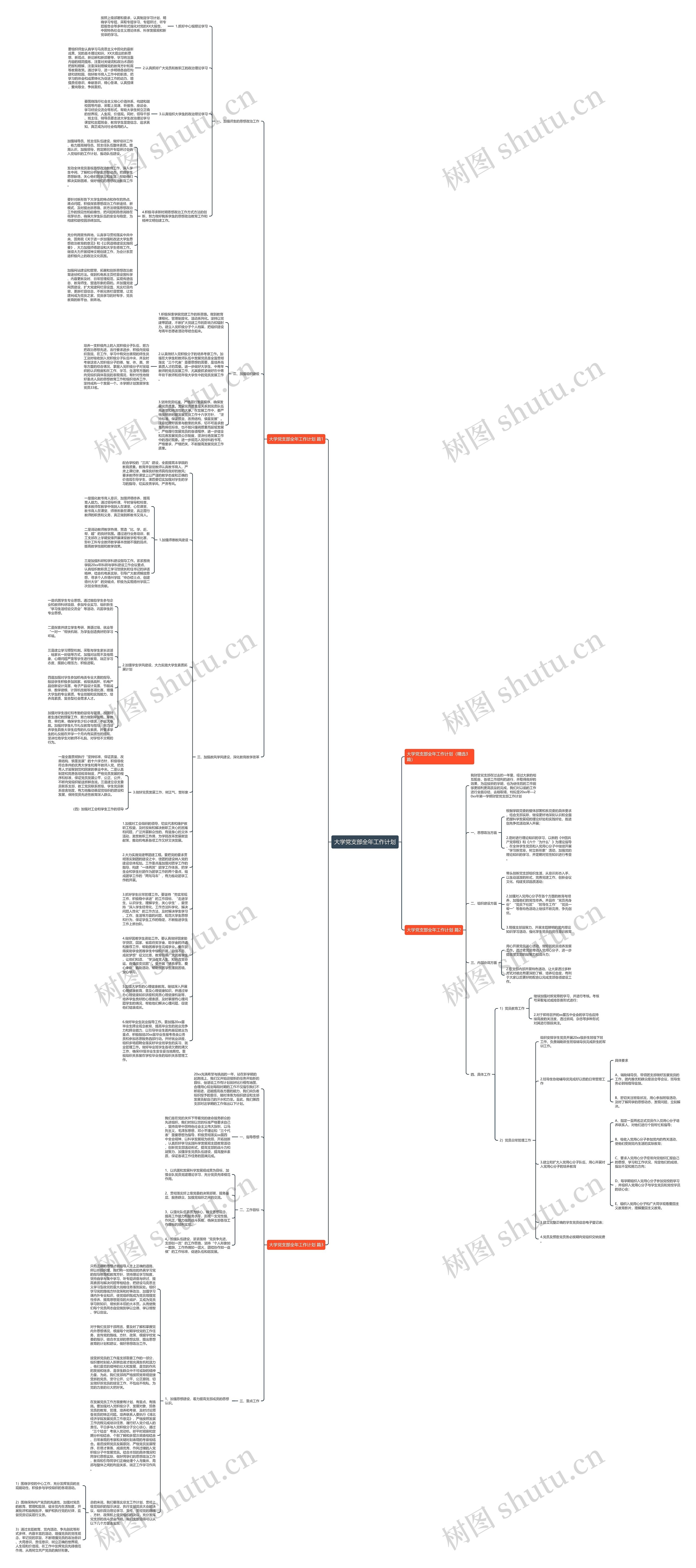 大学党支部全年工作计划思维导图