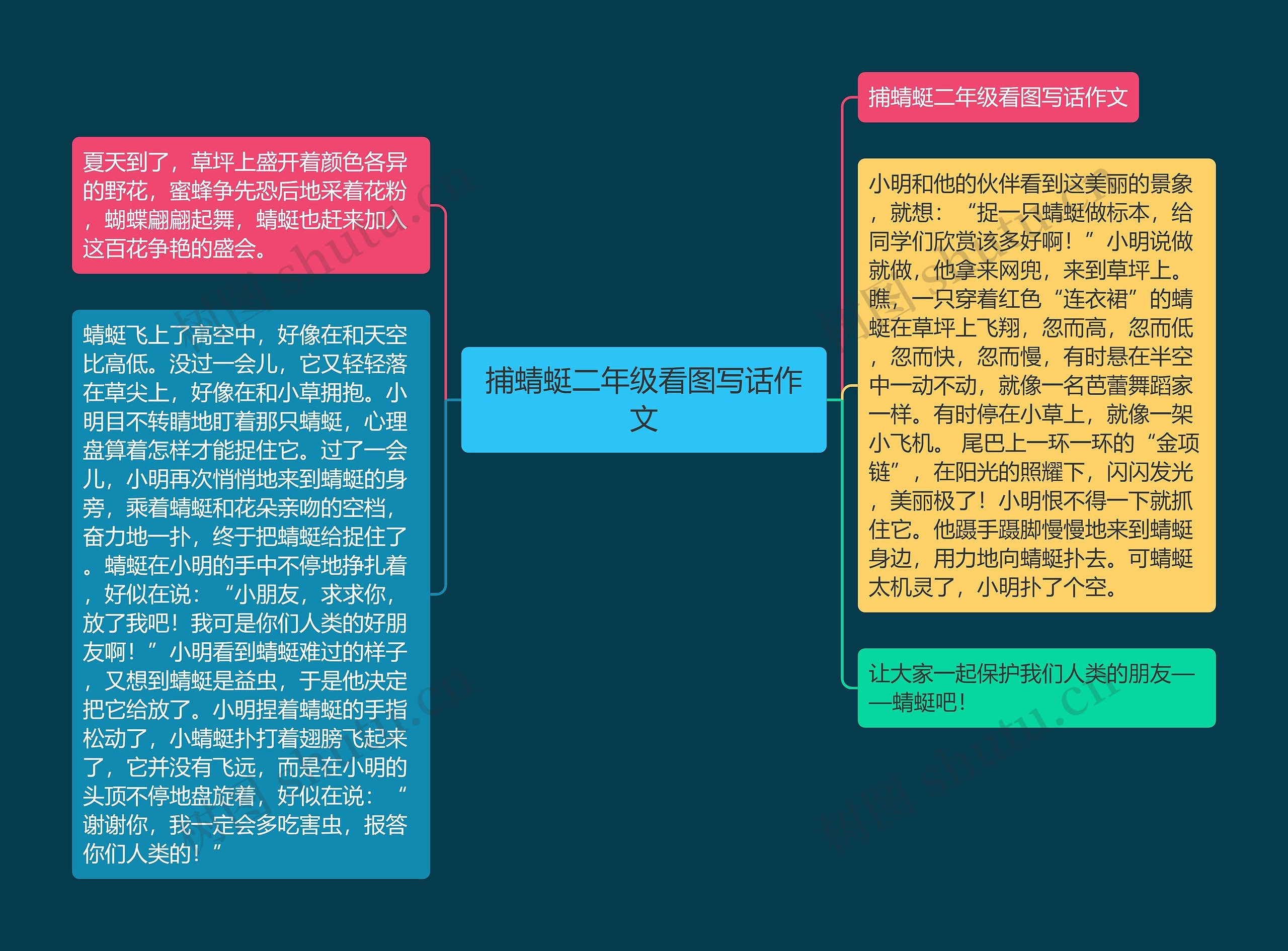 捕蜻蜓二年级看图写话作文思维导图