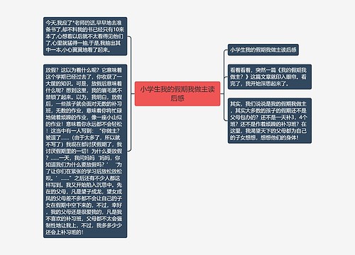 小学生我的假期我做主读后感