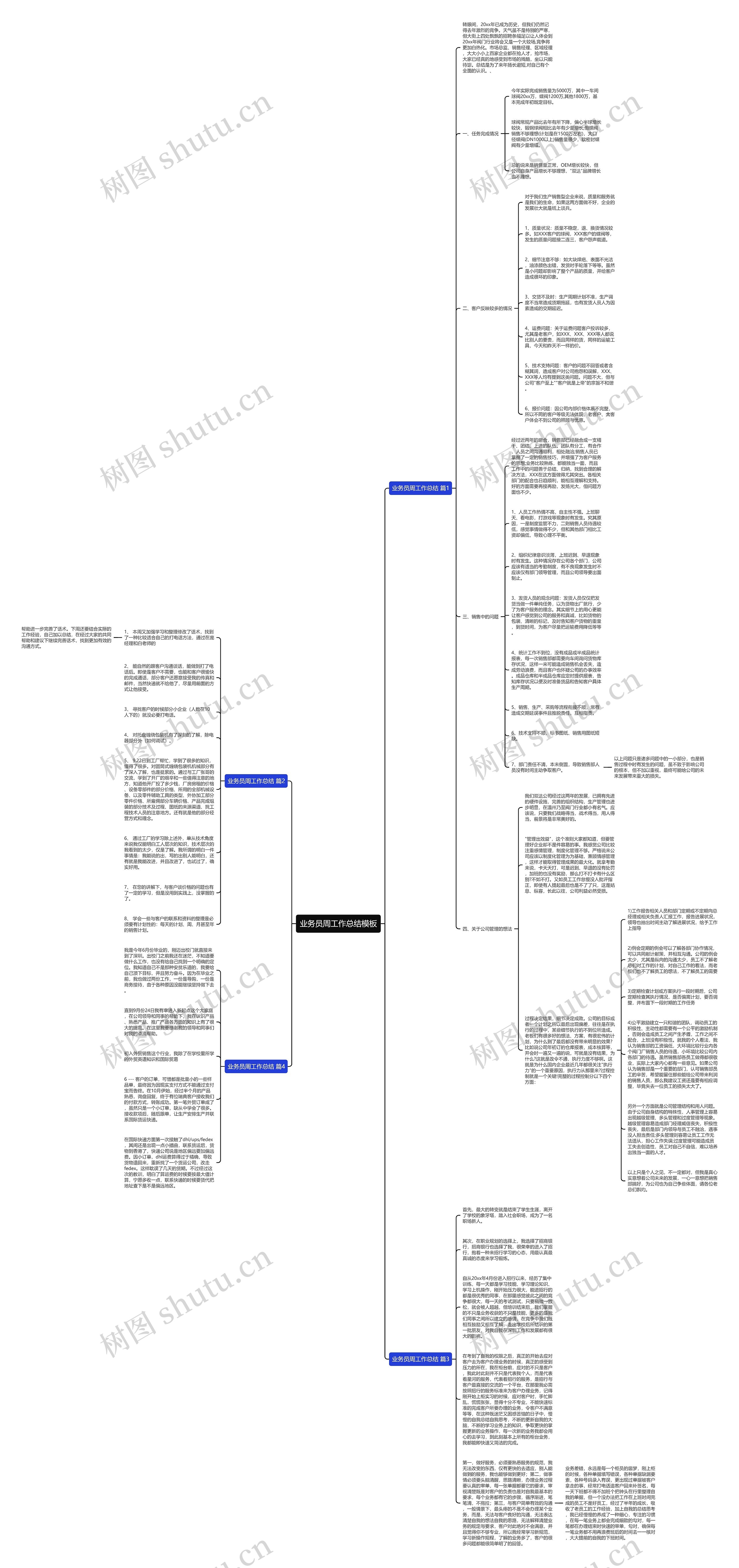 业务员周工作总结思维导图