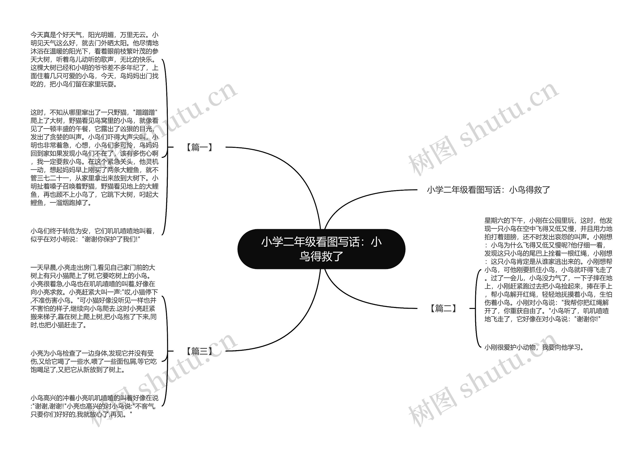 小学二年级看图写话：小鸟得救了思维导图