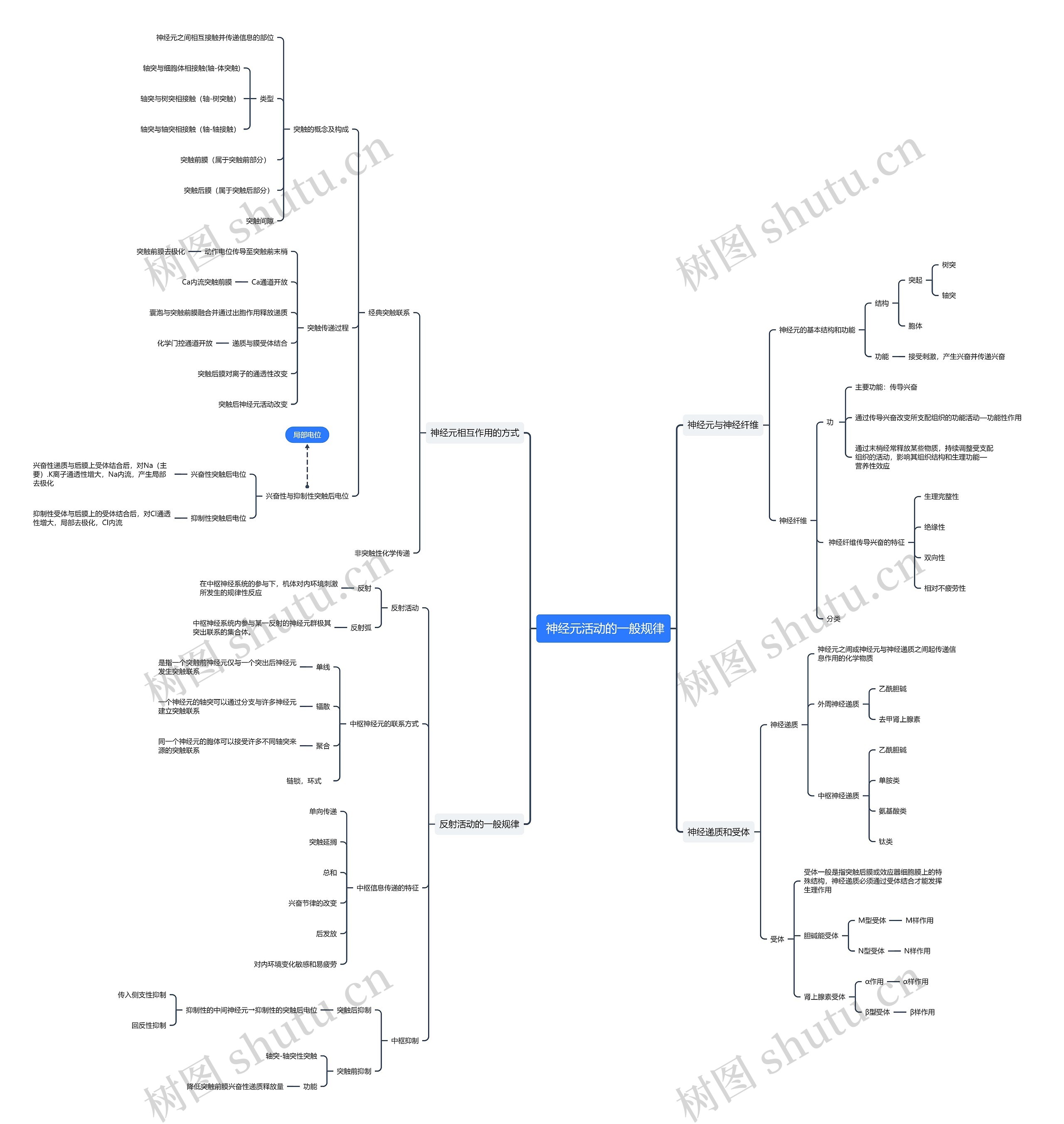 ﻿ 神经元活动的一般规律思维导图