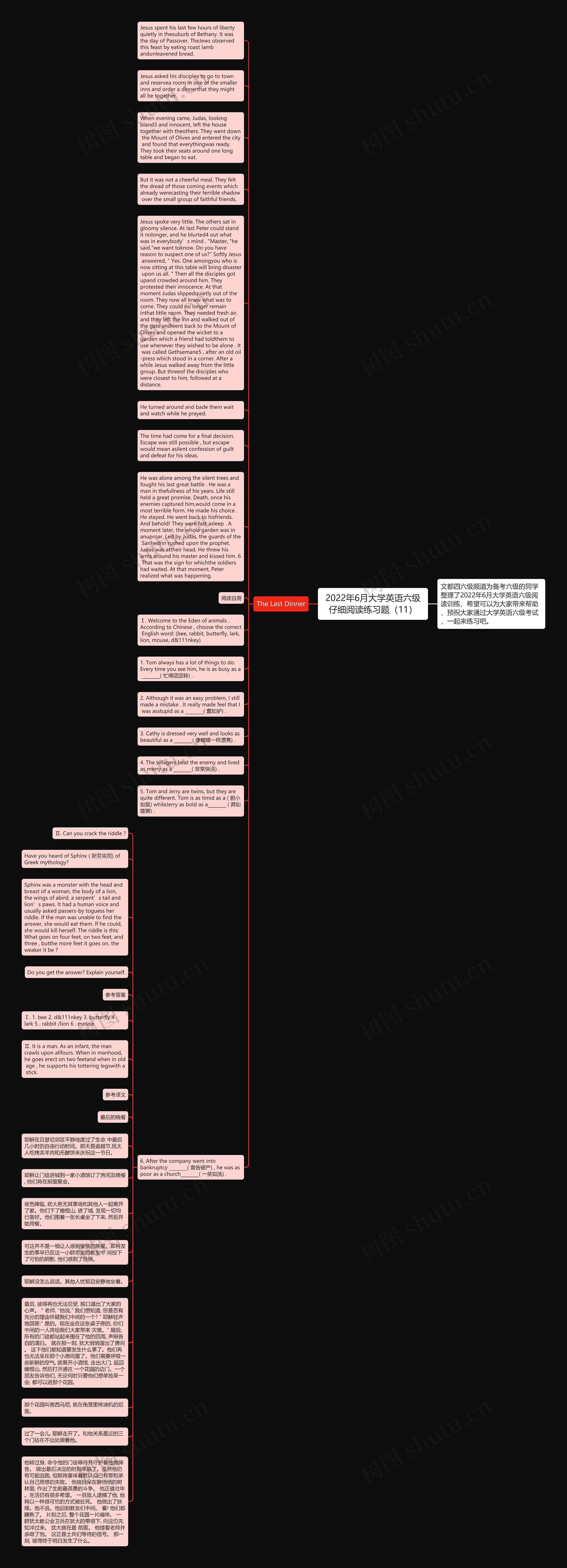 2022年6月大学英语六级仔细阅读练习题（11）思维导图