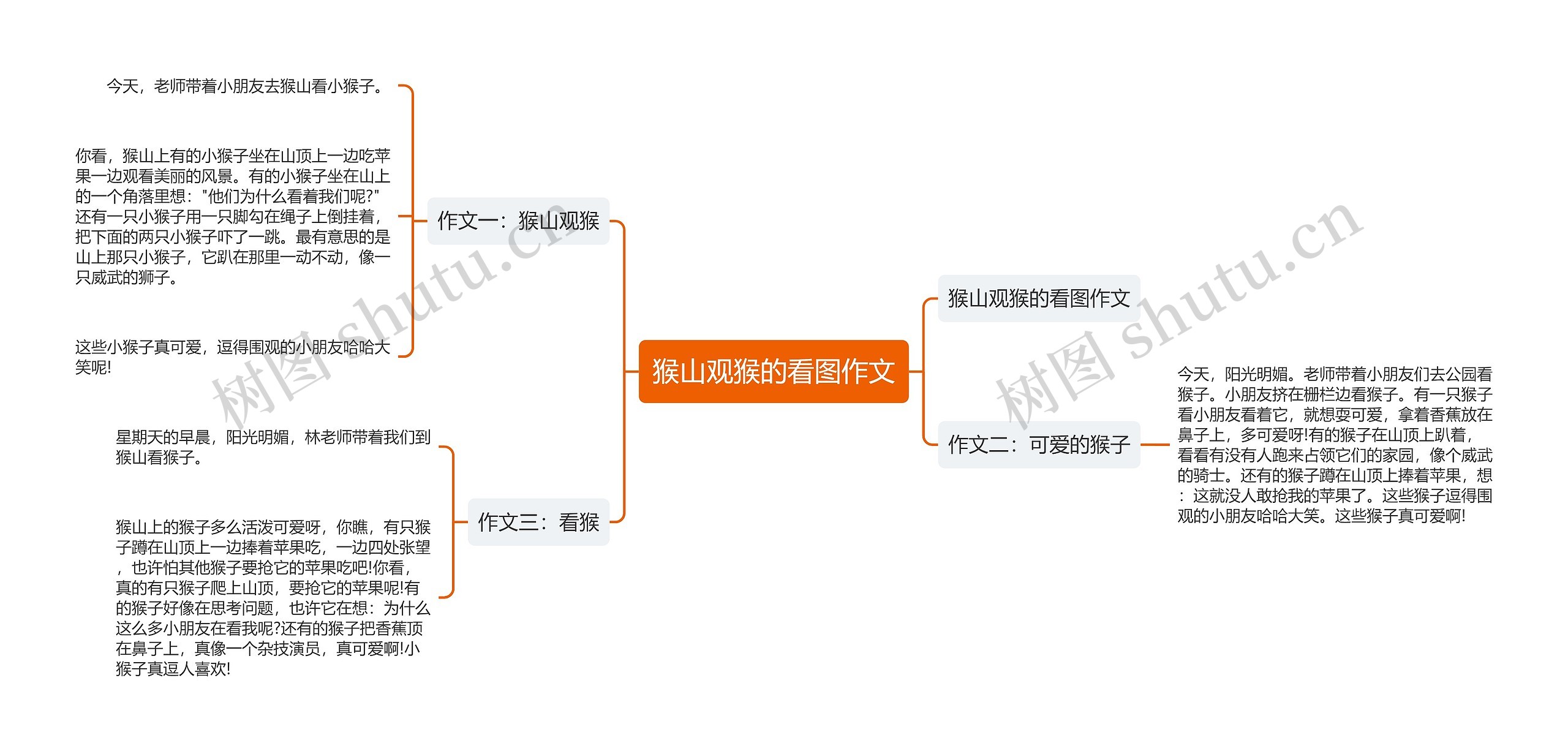 猴山观猴的看图作文思维导图