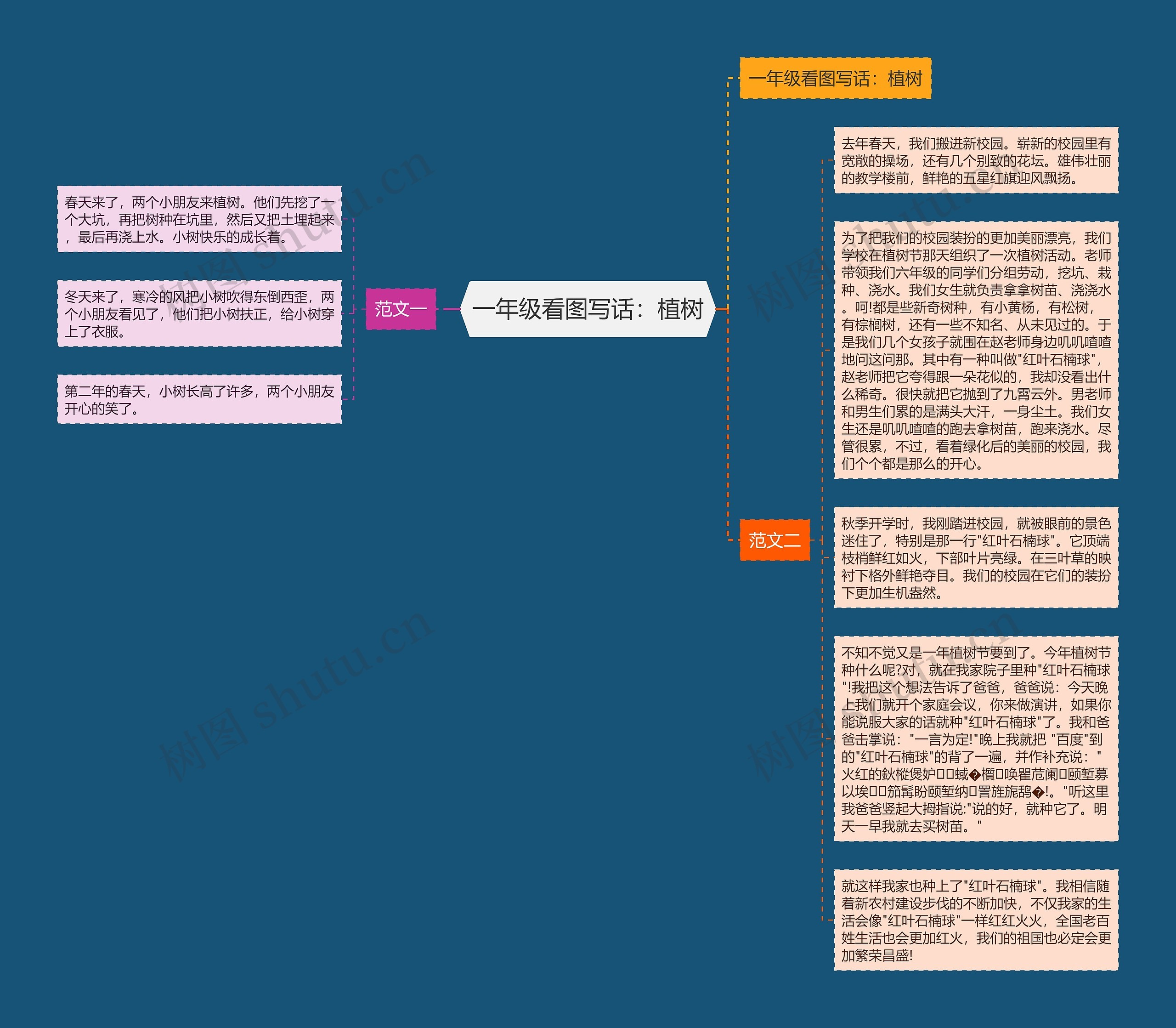 一年级看图写话：植树思维导图