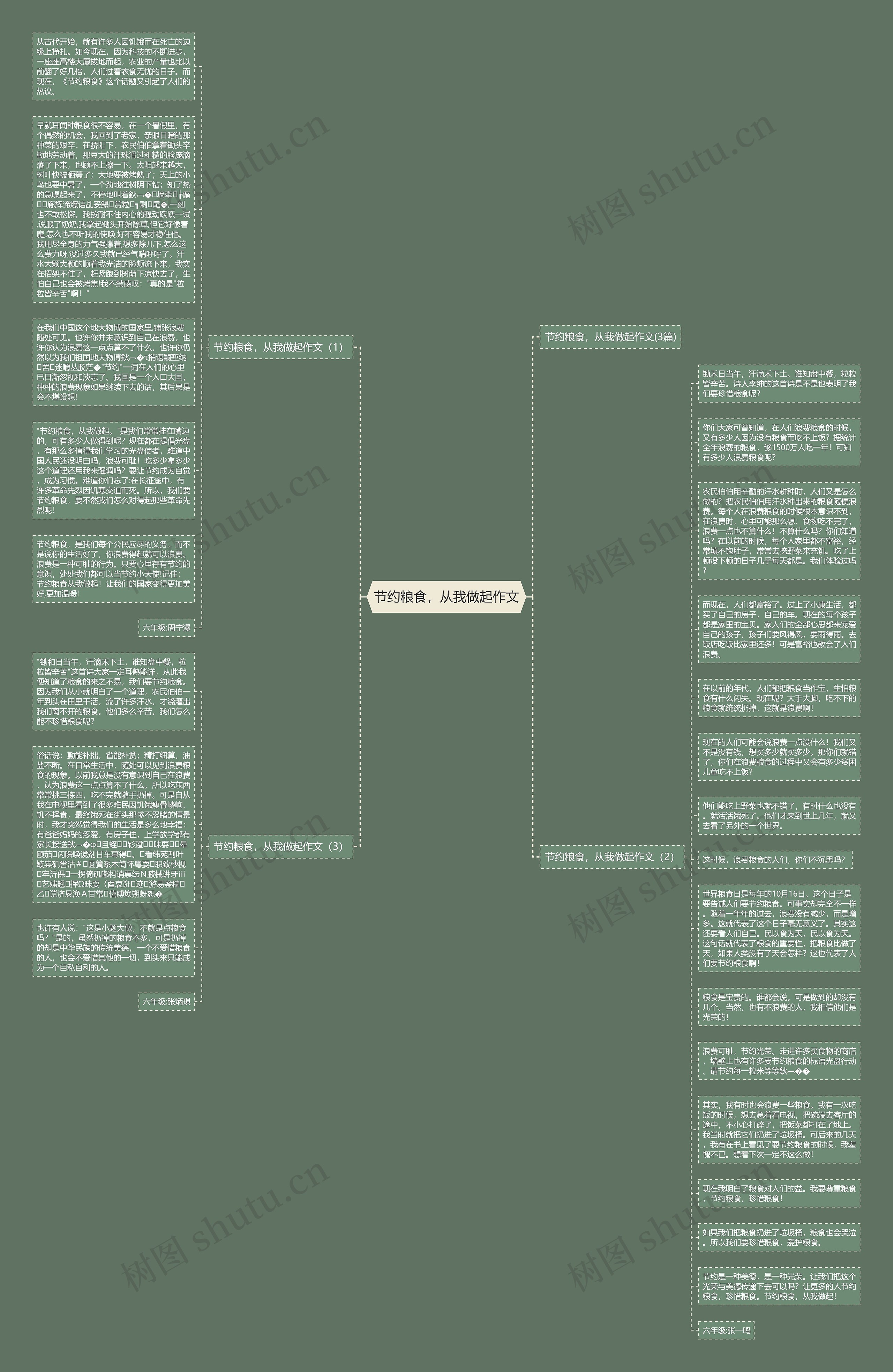 节约粮食，从我做起作文思维导图