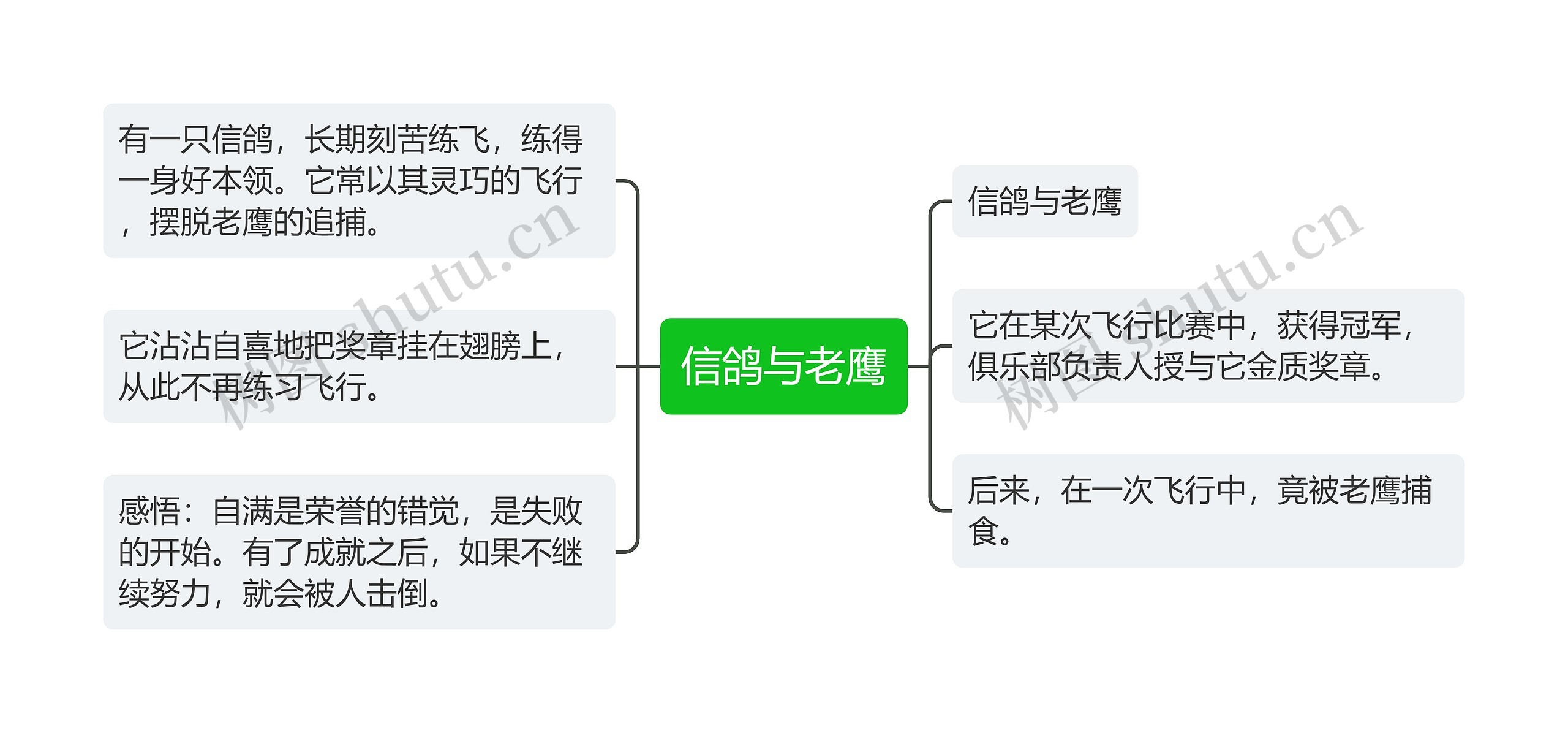 信鸽与老鹰思维导图